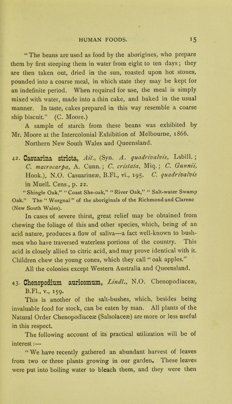 “The beans are used as food by the aborigines, who prepare them by first steeping them in water from eight to ten days; they are then taken out, dried in the sun, roasted upon hot stones, pounded into a coarse meal, in which state they may be kept for an indefinite period. When required for use, the meal is simply mixed with water, made into a thin cake, and baked in the usual manner. In taste, cakes prepared in this way resemble a coarse ship biscuit.” (C. Moore.) A sample of starch from these beans was exhibited by Mr. Moore at the Intercolonial Exhibition of Melbourne, 1866. Northern New South Wales and Queensland. 42. Casnarina stricta, Ait.^ (Syi^. A. quadnvalvis, Labill. ; C. macrocarpa, A. Cunn.; C. cristata, Miq.; C. Gunnii, Hook.), N.O. Casuarineae, B.Fl., vi., 195. C. quadrivalvis in MuelL Cens., p. 22. “Shingle Oak,” “Coast She-oak,” “River Oak,” “ Salt-water Swamp Oak.” The “ Worgnal ” of the aboriginals of the Richmond and Clarenc (New South Wales). In cases of severe thirst, great relief may be obtained from chewing the foliage of this and other species, which, being of an acid nature, produces a flow of saliva—a fact well-known to bush- men who have traversed waterless portions of the country. This acid is closely allied to citric acid, and may prove identical with it. Children chew the young cones, which they call “ oak apples.” All the colonies except Western Australia and Queensland. 43- Chenopodium auricomum, Lindl., N.O. Chenopodiaceae, B.Fl., V., 159. This is another of the salt-bushes, which, besides being invaluable food for stock, can be eaten by man. All plants of the Natural Order Chenopodiaceae (Salsolaceae) are more or less useful in this respect. The following account of its practical utilization will be of interest:— “ We have recently gathered an abundant harvest of leaves from two or three plants growing in our garden. These leaves were put into boiling water to bleach them, and they were then