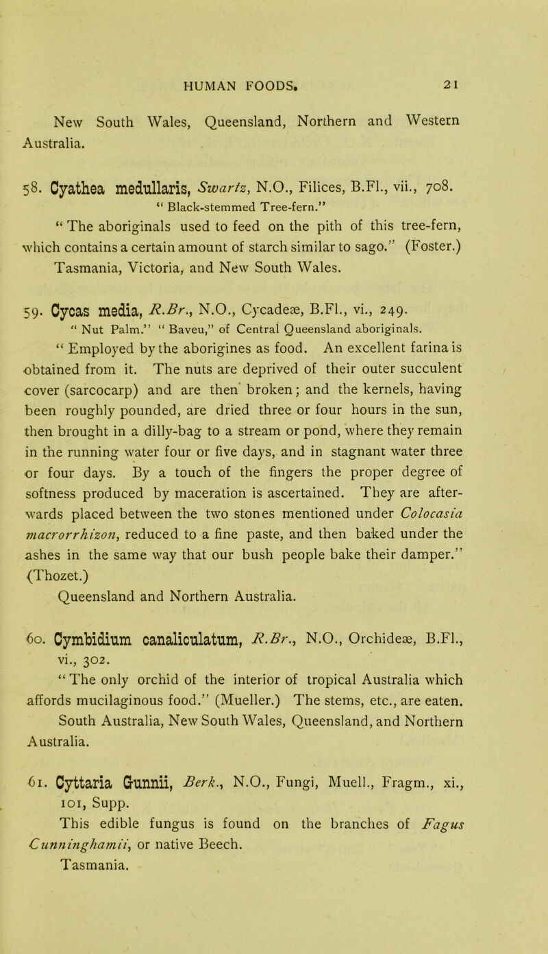 New South Wales, Queensland, Northern and Western Australia. 58. Cyathea medullaris, Swartz, N.O., Filices, B.FL, vii., 708. “ Black-stemmed Tree-fern.” “ The aboriginals used to feed on the pith of this tree-fern, which contains a certain amount of starch similar to sago.” (Foster.) Tasmania, Victoria, and New South Wales. 59. Cycas media, R^Br., N.O., Cycadeae, B.Fl., vi., 249. “ Nut Palm.” “ Baveu,” of Central Queensland aboriginals. “ Employed by the aborigines as food. An excellent farina is obtained from it. The nuts are deprived of their outer succulent cover (sarcocarp) and are then’broken; and the kernels, having been roughly pounded, are dried three or four hours in the sun, then brought in a dilly-bag to a stream or pond, where they remain in the running water four or five days, and in stagnant water three or four days. By a touch of the fingers the proper degree of softness produced by maceration is ascertained. They are after- wards placed between the two stones mentioned under Colocasia macrorrhizon, reduced to a fine paste, and then baked under the ashes in the same way that our bush people bake their damper.” (Thozet.) Queensland and Northern Australia. 60. Cymbidium canalicnlatnm, R.Br., N.O., Orchideae, B.Fl., vi., 302. “ The only orchid of the interior of tropical Australia which affords mucilaginous food.” (Mueller.) The stems, etc., are eaten. South Australia, New South Wales, Queensland, and Northern Australia. bi. Cyttaria G-minii, Berk., N.O., Fungi, Muell., Fragm., xi., loi, Supp. This edible fungus is found on the branches of Fagus Cunninghamii, or native Beech. Tasmania.