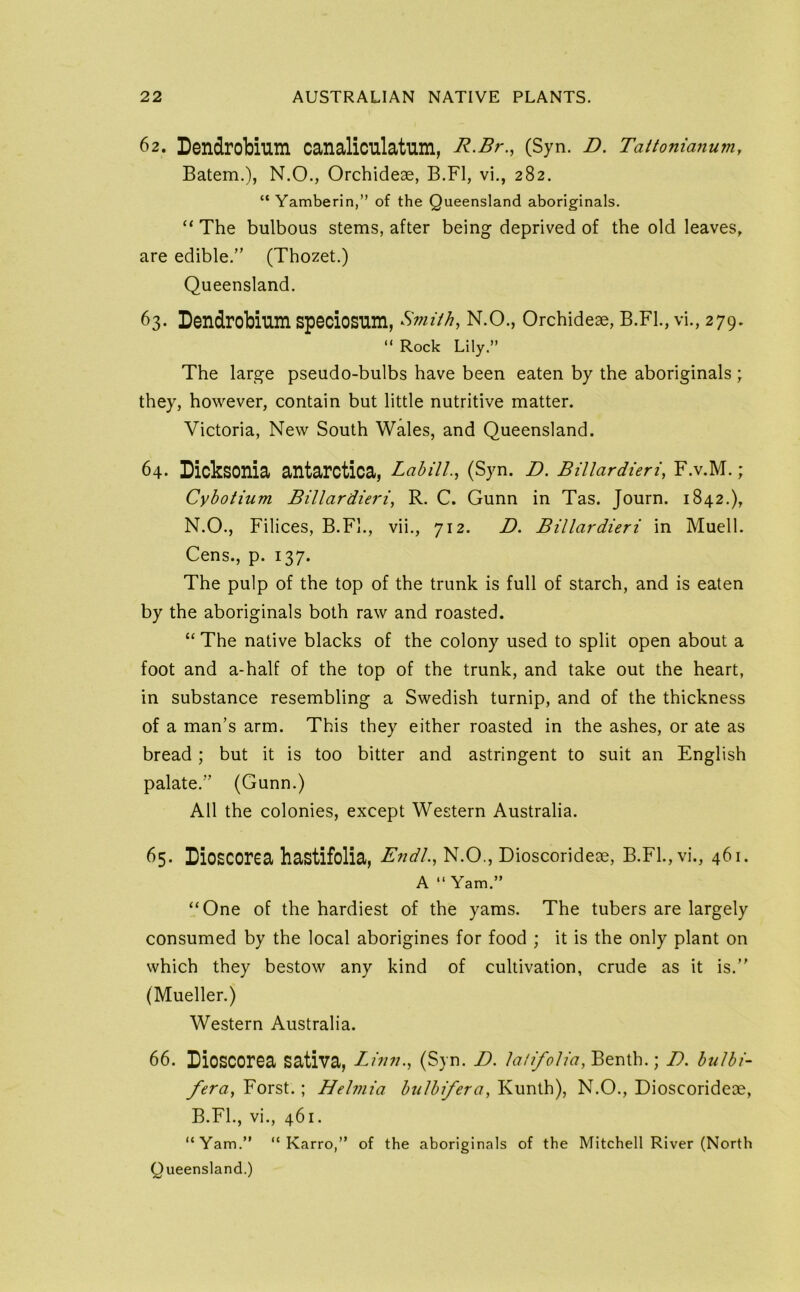 62. Dendrobium canaliculatum, R.Br., (Syn. D. Tattonianum, Batem.), N.O., Orchideae, B.Fl, vi., 282. “ Yamberin,” of the Queensland aboriginals. “ The bulbous stems, after being deprived of the old leaves, are edible.” (Thozet.) Queensland. 63. Dendrobium spedosum, Smith, N.O., Orchideae, B.Fl., vi., 279. “ Rock Lily.” The large pseudo-bulbs have been eaten by the aboriginals ; they, however, contain but little nutritive matter. Victoria, New South Wales, and Queensland. 64. Dicksonia antarctica, Lahill., (Syn. D. BUlardieri, F.v.M.; Cybotium Billardieri, R. C. Gunn in Tas. Journ. 1842.), N.O., Filices, B.Fl., vii., 712. D. Billardieri in Muell. Cens., p. 137. The pulp of the top of the trunk is full of starch, and is eaten by the aboriginals both raw and roasted. “ The native blacks of the colony used to split open about a foot and a-half of the top of the trunk, and take out the heart, in substance resembling a Swedish turnip, and of the thickness of a man’s arm. This they either roasted in the ashes, or ate as bread ; but it is too bitter and astringent to suit an English palate.” (Gunn.) All the colonies, except Western Australia. 65. IDiosCOrea hastifolia, Endl, N.O., Dioscorideee, B.Fl., vi., 461. A “Yam.” “One of the hardiest of the yams. The tubers are largely consumed by the local aborigines for food ; it is the only plant on which they bestow any kind of cultivation, crude as it is.” (Mueller.) Western Australia. 66. rioscorea sativa, Linn., (Syn. D. lalifolia,^t\i^.\ D. bulbi- fera, Forst.; Helmia bulbfera, Kunth), N.O., Dioscorideoe, B.FL, vi., 461. “Yam.” “ Karro,” of the aboriginals of the Mitchell River (North Queensland.)