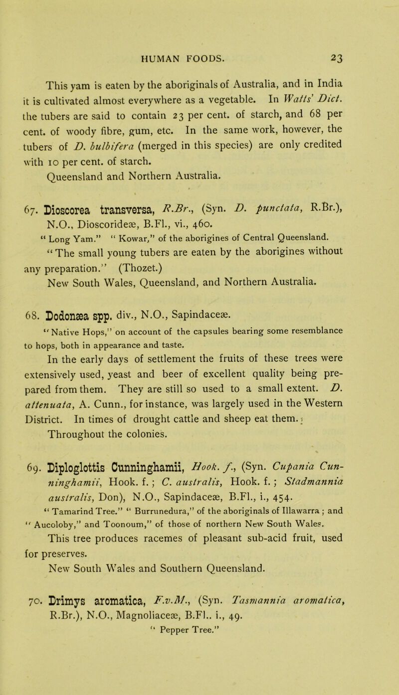 This yam is eaten by the aboriginals of Australia, and in India it is cultivated almost everywhere as a vegetable. In Watts Diet. the tubers are said to contain 23 per cent, of starch, and 68 per cent, of woody fibre, gum, etc. In the same work, however, the tubers of D. hulbifera (merged in this species) are only credited with 10 percent, of starch. Queensland and Northern Australia. r t 67. Dioscorea transversa, R>Br., (Syn. D. punctata, R.Br.), N.O., Dioscoridese, B.Fl., vi., 460. “ Long Yam.” “ Kowar/’ of the aborigines of Central Queensland. “ The small young tubers are eaten by the aborigines without any preparation.'’ (Thozet.) New South Wales, Queensland, and Northern Australia. 68. Dodonaea spp. div., N.O., Sapindaceae. ‘'Native Hops,” on account of the capsules bearing some resemblance to hops, both in appearance and taste. In the early days of settlement the fruits of these trees were extensively used, 3'^east and beer of excellent quality being pre- pared from them. They are still so used to a small extent. D. attenuata, A. Cunn., for instance, was largely used in the Western District. In times of drought cattle and sheep eat them, i Throughout the colonies. % 69. Liploglottis Cunninghamii, Hook, f., (Syn. Cupania Cun- 7iinghamii, Hook. f.; C. australis, Hook. f.; Stadmannia australis, Don), N.O., Sapindacese, B.FL, i., 454. “ Tamarind Tree.” “ Burrunedura,” of the aboriginals of Illawarra ; and “ Aucoloby,” and Toonoum,” of those of northern New South Wale.s. This tree produces racemes of pleasant sub-acid fruit, used for preserves. New South Wales and Southern Queensland. 70. Drimys aromatica, F.v.l\l., (Syn. Tasmannia aromatica, R.Br.), N.O., Magnoliaceae, B.FL. i., 49. '* Pepper Tree.”