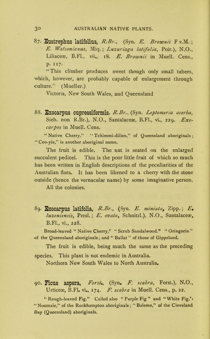 ^7- Eustrephus latifolius, R.Br., (Syn. E, Brownii F v.M. ; E. Wafsonianiis, Miq.; Luzuriaga latifoUa, Poir.), N.O., Liliaceae, B.FI., vii., i8. E. Brownii in Muell. Cens., p. 117. “This climber produces sweet though only small tubers, which, however, are probably capable of enlargement through culture.” (Mueller.) Victoria, New South Wales, and Queensland 58. Exocarpus cupressiformis, R.Br.. (Syn. Leptomeria acerba, Sieb. non R.Br.), N.O., Santalaceae, B.FI., vi., 229. Exo- carpos in Muell. Cens. “Native Cherry.” “ Tchimmi-dillen,” of Queensland aboriginals; Coo-yie,” is another aboriginal name. The fruit is edible. The nut is seated on the enlarged succulent pedicel. This is the poor little fruit of which so much has been written in English descriptions of the peculiarities of the Australian flora. It has been likened to a cherry with the stone ■outside (hence the vernacular name) by some imaginative person. All the colonies. 89. Exocarpus latifolia, R.Br., (Syn. E. miniata^ Zipp.; A’. luzoniensis, Presl.; E. ovata^ Schnitzl.), N.O., Santalacese, B.FI., vi., 228. Broad-leaved “ Native Cherry,” “ Scrub Sandalwood.’* “ Oringorin ” of the Queensland aboriginals ; and “ Ballat ” of those of Gippsland. The fruit is edible, being much the same as the preceding species. This plant is not endemic in Australia. Northern New South Wales to North Australia. 90. Ficus aspcra, Forst*, (Syn. F. scahra, Forst.), N.O., Urticeae, B.FI, vi., 174. F. scahra in Muell. Cens., p. 22. “ Rough-leaved Fig.” Called also “ Purple Fig ” and “White Fig.’» ■“Noomaie,” of the Rockhampton aboriginals ; “ Balemo,” of the Cleveland Bay (Queensland) aboriginals.