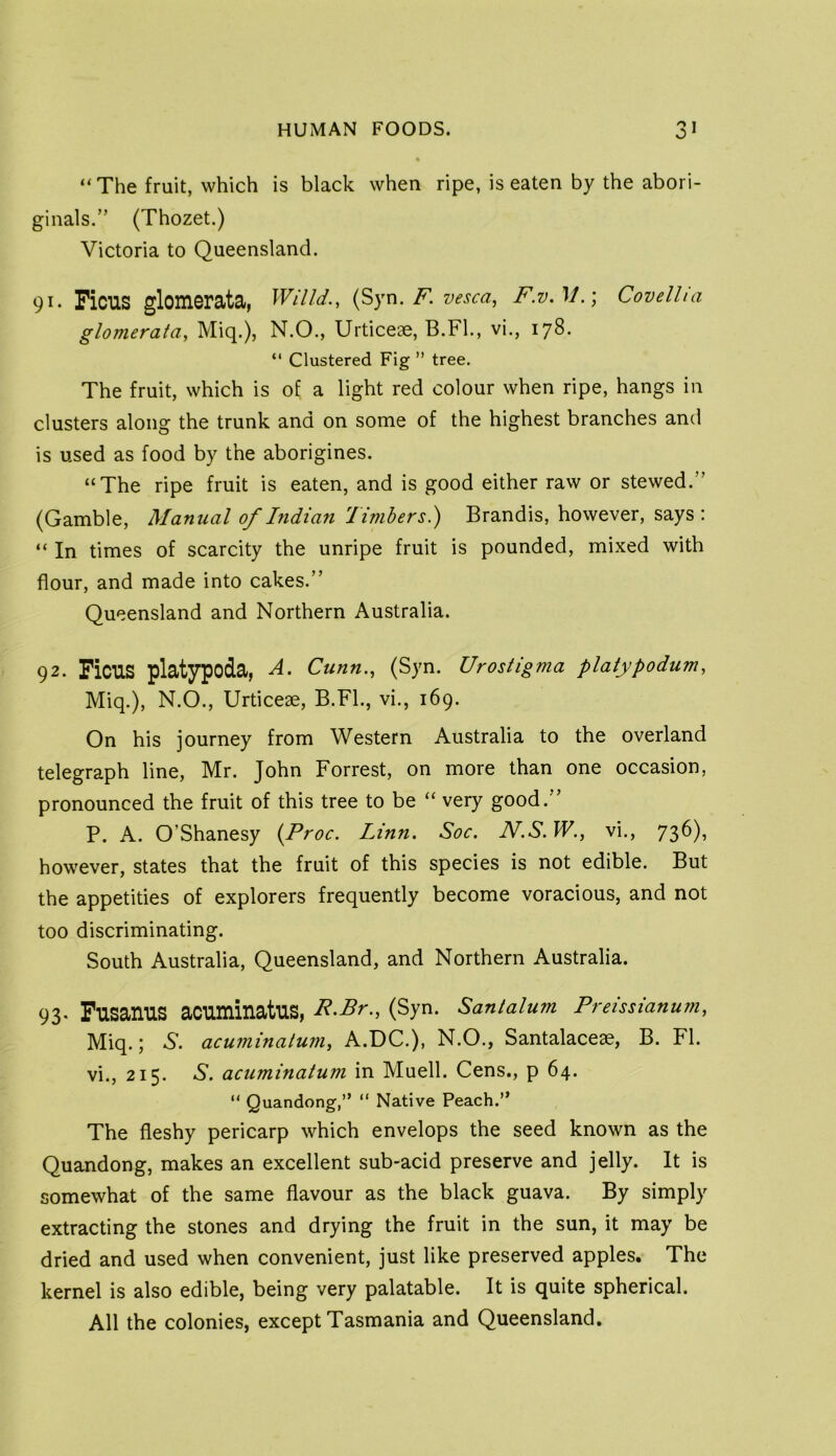 “ The fruit, which is black when ripe, is eaten by the abori- ginals.” (Thozet.) Victoria to Queensland. 91. Ficus glouierata, WUld., F. vesca., F.V.M.] Covellia glomeratay Miq.), N.O., Urticeae, B.Fl., vi., 178. “ Clustered Fig ” tree. The fruit, which is of a light red colour when ripe, hangs in clusters along the trunk and on some of the highest branches and is used as food by the aborigines. “The ripe fruit is eaten, and is good either raw or stewed.” (Gamble, Manual of Indian Timbers.) Brandis, however, says : “In times of scarcity the unripe fruit is pounded, mixed with flour, and made into cakes.” Queensland and Northern Australia. 92. Ficus plat3Tpoda, Cunn.^ (Syn. Urostigma platypodum, Miq.), N.O., Urticeae, B.FL, vi., 169. On his journey from Western Australia to the overland telegraph line, Mr. John Forrest, on more than one occasion, pronounced the fruit of this tree to be “ very good.” P. A. O’Shanesy {Proc. Linn. Soc. JV.S. W., vi., 73^)» however, states that the fruit of this species is not edible. But the appetities of explorers frequently become voracious, and not too discriminating. South Australia, Queensland, and Northern Australia. 93. Fusanus acuminatus, F>Br., (Syn. Sanlalum Preissianum, Miq.; .S’, acuminatum, A.DC.), N.O., Santalaceae, B. FI. vi., 215. A, acuminatum in Muell. Cens., p 64. “ Quandong,” “ Native Peach.” The fleshy pericarp which envelops the seed known as the Quandong, makes an excellent sub-acid preserve and jelly. It is somewhat of the same flavour as the black guava. By simply extracting the stones and drying the fruit in the sun, it may be dried and used when convenient, just like preserved apples. The kernel is also edible, being very palatable. It is quite spherical. All the colonies, except Tasmania and Queensland.