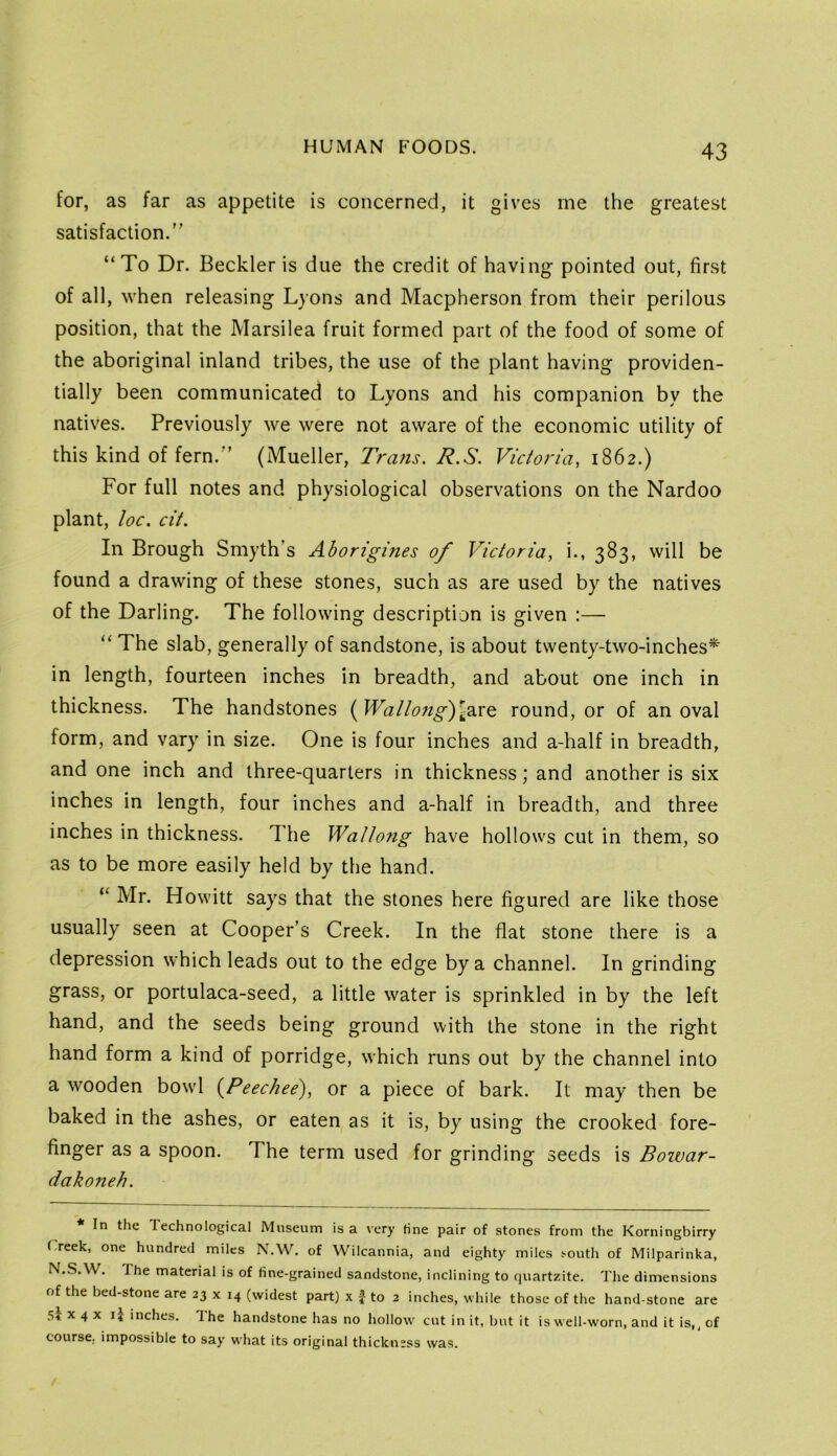 for, as far as appetite is concerned, it gives me the greatest satisfaction. “To Dr. Beckler is due the credit of having pointed out, first of all, when releasing Lyons and Macpherson from their perilous position, that the Marsilea fruit formed part of the food of some of the aboriginal inland tribes, the use of the plant having providen- tially been communicated to Lyons and his companion by the natives. Previously we were not aware of the economic utility of this kind of fern. (Mueller, Tra?is. R.S. Victoria, 1862.) For full notes and physiological observations on the Nardoo plant, loc. cit. In Brough Smyth’s Aborigines of Victoria, i., 383, will be found a drawing of these stones, such as are used by the natives of the Darling. The following description is given :— “ The slab, generally of sandstone, is about twenty-two-inches*’ in length, fourteen inches in breadth, and about one inch in thickness. The handstones (WallongYg2.x^ round, or of an oval form, and vary in size. One is four inches and a-half in breadth, and one inch and three-quarters in thickness; and another is six inches in length, four inches and a-half in breadth, and three inches in thickness. The Wallong have hollows cut in them, so as to be more easily held by the hand. “ Mr. Howitt says that the stones here figured are like those usually seen at Cooper’s Creek. In the flat stone there is a depression which leads out to the edge by a channel. In grinding grass, or portulaca-seed, a little water is sprinkled in by the left hand, and the seeds being ground with the stone in the right hand form a kind of porridge, which runs out by the channel into a wooden bowl {Peechee), or a piece of bark. It may then be baked in the ashes, or eaten as it is, by using the crooked fore- finger as a spoon. The term used for grinding seeds is Bowar- dakoneh. In the Technological Museum is a very tine pair of stones from the Korningbirry ( reek, one hundred miles N.W. of Wilcannia, and eighty miles south of Milparinka, N.S.’W. The material is of fine-grained sandstone, inclining to quartzite. The dimensions of the bed-stone are 23 x 14 (widest part) x f to 2 inches, while those of the hand-stone are 54 X 4 X inches. The handstone has no hollow cut in it, but it is well-worn, and it is,, of course, impossible to say wdiat its original thickness was.