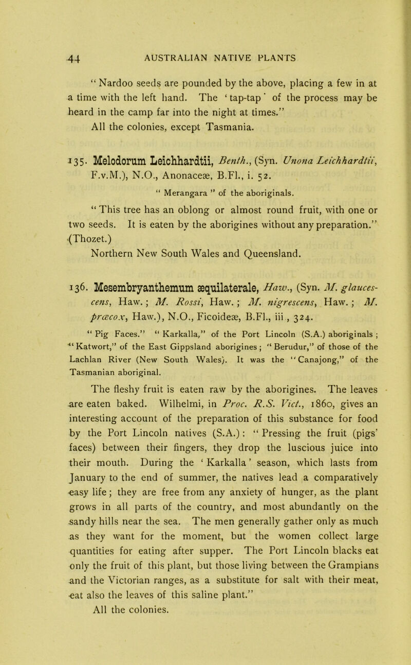 “ Nardoo seeds are pounded by the above, placing a few in at a time with the left hand. The ‘ tap-tap ' of the process may be heard in the camp far into the night at times.” All the colonies, except Tasmania. J35- Melodorum Leichhardtii, Benth., (Syn. Unona LeichhardtU, F.V.M.), N.O., Anonaceae, B.FL, i. 52. “ Merangara ” of the aboriginals. “ This tree has an oblong or almost round fruit, with one or two seeds. It is eaten by the aborigines without any preparation.” (Thozet.) Northern New South Wales and Queensland. 136. Mesembryanthemum sequilaterale, Haiv., (Syn. M. giauces- cens, Haw.; M. Rossi, Haw. ; 3f. nigrescens, Haw.; M. prcEcox, Haw.), N.O., Ficoideae, B.FL, iii, 324. “ Pig Faces.” “ Karkalla,” of the Port Lincoln (S.A.) aboriginals ; ■“ Katwort,” of the East Gippsland aborigines ; Berudur,” of those of the Lachlan River (New South Wales). It was the “Canajong,” of the Tasmanian aboriginal. The fleshy fruit is eaten raw by the aborigines. The leaves • are eaten baked. Wilhelmi, in Proc. R.S. Vict., i860, gives an interesting account of the preparation of this substance for food by the Port Lincoln natives (S.A.): “ Pressing the fruit (pigs’ faces) between their fingers, they drop the luscious juice into their mouth. During the ‘ Karkalla ’ season, which lasts from January to the end of summer, the natives lead a comparatively easy life; they are free from any anxiety of hunger, as the plant grows in all parts of the country, and most abundantly on the sandy hills near the sea. The men generally gather only as much as they want for the moment, but the women collect large quantities for eating after supper. The Port Lincoln blacks eat only the fruit of this plant, but those living between the Grampians and the Victorian ranges, as a substitute for salt with their meat, •eat also the leaves of this saline plant.” All the colonies.