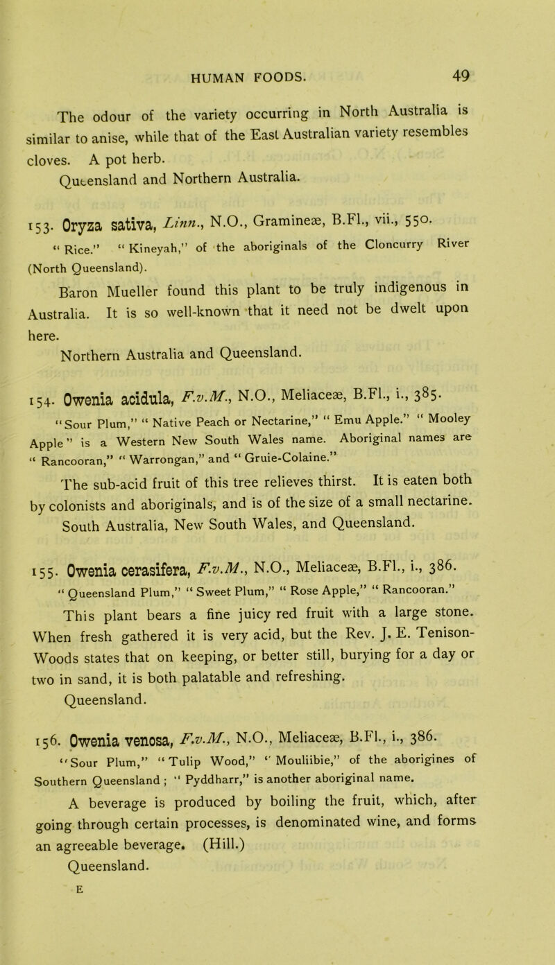 The odour of the variety occurring in North Australia is similar to anise, while that of the East Australian variety resembles cloves. A pot herb. Queensland and Northern Australia. *53’ Oryza sativa, Lmn., N.O., Gramineae, B.Fl., vii., 55^* “ Rice.” “ Kineyah,” of ‘the aboriginals of the Cloncurry River (North Queensland). Baron Mueller found this plant to be truly indigenous in Australia. It is so well-known that it need not be dwelt upon here. Northern Australia and Queensland. 154. Owenia acidula, F.V.M.^ N.O., Meliaceae, B.Fl., i., 385. “Sour Plum, “ Native Peach or Nectarine,” “ Emu Apple. ” Mooley Apple is a Western New South Wales name. Aboriginal names are “ Rancooran,** ^^arrongan,” and * Gruie*Colaine. The sub-acid fruit of this tree relieves thirst. It is eaten both by colonists and aboriginals, and is of the size of a small nectarine. South Australia, New South Wales, and Queensland. 155- Owenia cerasifera, F.v.M.y N.O., Meliaceae, B.FL, i., 386. “ Queensland Plum, “ Sweet Plum,” “ Rose Apple,” “ Rancooran. This plant bears a fine juicy red fruit with a large stone. When fresh gathered it is very acid, but the Rev. J. E. Tenison- Woods states that on keeping, or better still, burying for a day or two in sand, it is both palatable and refreshing. Queensland. 156. Owenia venosa, F.V.M., N.O., Meliaceae, B.FL, i., 386. ‘'Sour Plum, “Tulip Wood, Mouliibie,” of the aborigines of Southern Queensland ; “ Pyddharr,” is another aboriginal name. A beverage is produced by boiling the fruit, which, after going through certain processes, is denominated wine, and forms an agreeable beverage. (Hill.) Queensland. E