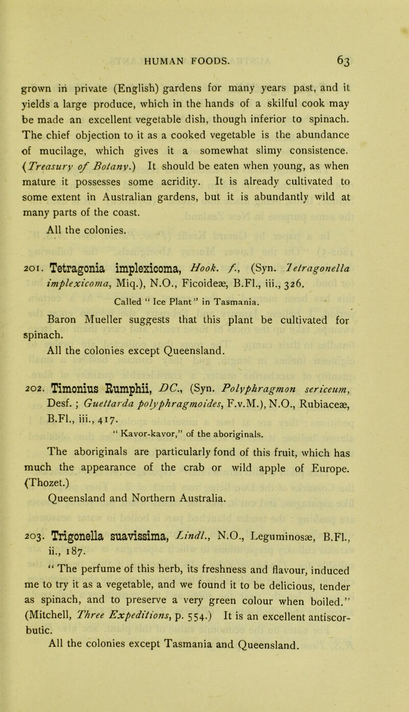 grown in private (English) gardens for many years past, and it yields a large produce, which in the hands of a skilful cook may be made an excellent vegetable dish, though inferior to spinach. The chief objection to it as a cooked vegetable is the abundance of mucilage, which gives it a somewhat slimy consistence. {^Treasury of Botany.) It should be eaten when young, as when mature it possesses some acridity. It is already cultivated to some extent in Australian gardens, but it is abundantly wild at many parts of the coast. All the colonies. 201. Tetragonia implexicoma, Hook. /., (Syn. letragonella implexicoma^ Miq.), N.O., Ficoideae, B.Fl., iii., 326. Called “ Ice Plant” in Tasmania. Baron Mueller suggests that this plant be cultivated for spinach. All the colonies except Queensland. 202. Timonius Eumphii, (Syn. Polypkragmon sericeum, Desf.; Guettarda polyphragmoides^ F.v.M.), N.O., Rubiaceae, B.Fl., iii., 417. ” Kavor-kavor,” of the aboriginals. The aboriginals are particularly fond of this fruit, which has much the appearance of the crab or wild apple of Europe. (Thozet.) Queensland and Northern Australia. 203. Trigonella suavissima, Lindl., N.O., Leguminosae, B.Fl., ii., 187. “ The perfume of this herb, its freshness and flavour, induced me to try it as a vegetable, and we found it to be delicious, tender as spinach, and to preserve a very green colour when boiled.” (Mitchell, Three Expeditions, p. 554.) It is an excellent antiscor- butic. All the colonies except Tasmania and Queensland.