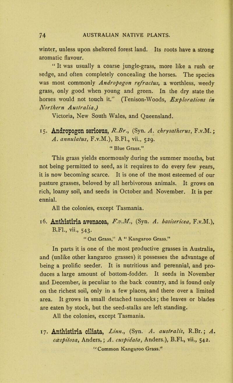 winter, unless upon sheltered forest land. Its roots have a strong aromatic flavour. “ It was usually a coarse jungle-grass, more like a rush or sedge, and often completely concealing the horses. The species was most commonly Andropogon refractus^ a worthless, weedy grass, only good when young and green. In the dry state the horses would not touch it.” (Tenison-Woods, Explorations in Northern A ustraIia.) Victoria, New South Wales, and Queensland. 15- Andropogon serioens, R.Br., (Syn. A. chrysathems, F.v.M.; A. an7iulatus, F.v.M.), B.Fl., vii., 529. “ Blue Grass.” This grass yields enormously during the summer months, but not being permitted to seed, as it requires to do every few years, it is now becoming scarce. It is one of the most esteemed of our pasture grasses, beloved by all herbivorous animals. It grows on rich, loamy soil, and seeds in October and November. It is per ennial. All the colonies, except Tasmania. 16. Anthistiria avenacea, F.v.M., (Syn. A. hasiserkea, F.V.M.), B. Fl., vii., 543. “ Oat Grass,” A “ Kangaroo Grass.” In parts it is one of the most productive grasses in Australia, and (unlike other kangaroo grasses) it possesses the advantage of being a prolific seeder. It is nutritious and perennial, and pro- duces a large amount of bottom-fodder. It seeds in November and December, is peculiar to the back country, and is found only on the richest soil, only in a few places, and there over a limited area. It grows in small detached tussocks; the leaves or blades are eaten by stock, but the seed-stalks are left standing. All the colonies, except Tasmania. 17. Anthistiria ciliata, Linn., (Syn. A. australis, R.Br.; A^ coespitosa, Anders.; A. cuspidata, Anders.), B.Fl., vii., 542. Common Kangaroo Grass.”