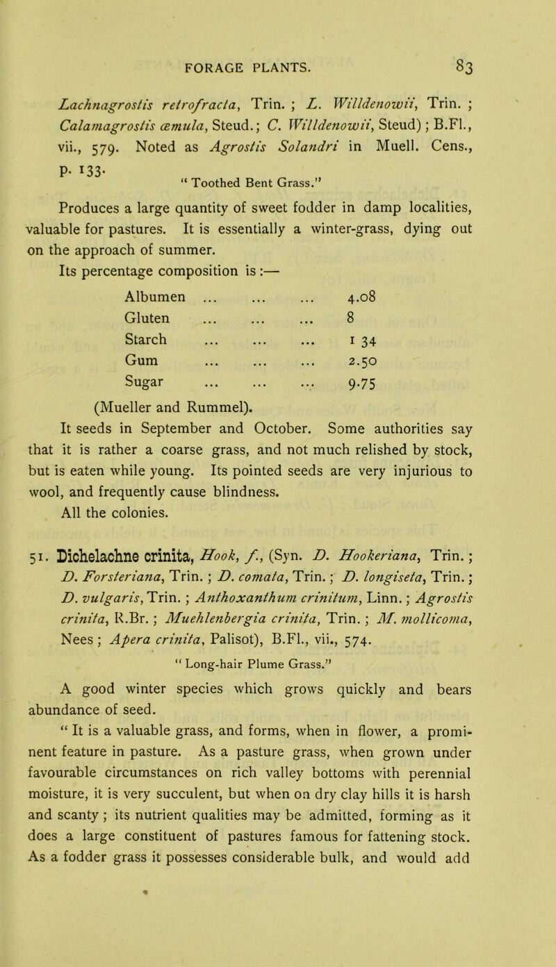 Lachnagrostis retrofractay Trin. ; L. Willdenowiiy Trin. ; Calamagrostis cemula, Steud.; C. Willdenowiiy Steud); B.FL, vii., 579. Noted as Agrostis Solandri in Muell. Cens., P- 133- “ Toothed Bent Grass.” Produces a large quantity of sweet fodder in damp localities, valuable for pastures. It is essentially a winter-grass, dying out on the approach of summer. Its percentage composition is :— Albumen Gluten Starch Gum Sugar 4.08 8 I 34 2.50 9-75 (Mueller and Rummel). It seeds in September and October. Some authorities say that it is rather a coarse grass, and not much relished by stock, but is eaten while young. Its pointed seeds are very injurious to wool, and frequently cause blindness. All the colonies. 51. Dichelachne crinita, Hook, f., (Syn. D. Hookeriana, Trin.; D. Forsteriana, Trin. ; D. comata, Trin.; D. longiseta, Trin.; D. vulgaris,'Tim. ; Anthoxanthum crinitum, Linn.; Agrostis crinita, R.Br.; Muehlenbergia crinita, Trin.; M. mollicoma, Nees ; Apera crinita, Palisot), B.FL, vii., 574. ” Long-hair Plume Grass.” A good winter species which grows quickly and bears abundance of seed. “ It is a valuable grass, and forms, when in flower, a promi- nent feature in pasture. As a pasture grass, when grown under favourable circumstances on rich valley bottoms with perennial moisture, it is very succulent, but when on dry clay hills it is harsh and scanty; its nutrient qualities may be admitted, forming as it does a large constituent of pastures famous for fattening stock. As a fodder grass it possesses considerable bulk, and would add