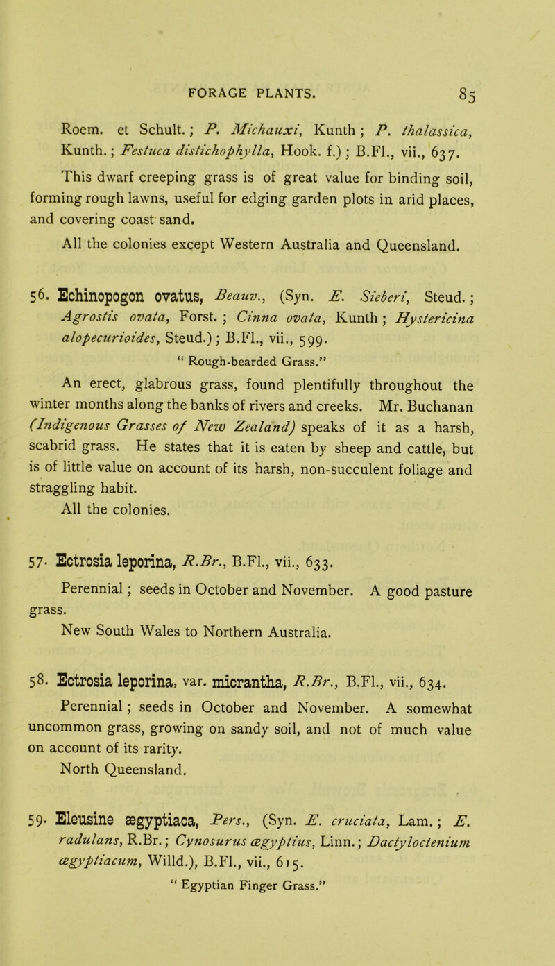 Roem. et Schult.; P. Michauxi, Kunth; P. ihalassica, Kunth.; Festiica distichophylla^ Hook, f.); B.Fl., vii,, 637. This dwarf creeping grass is of great value for binding soil, forming rough lawns, useful for edging garden plots in arid places, and covering coast sand. All the colonies except Western Australia and Queensland. 56. Echinopogon ovatus, Beauv., (Syn. E, Sieheri, Steud.; Agrostis ovata, Forst. ; Cinna ovaia, Kunth; Hystericina alopecurioid.es^ Steud.); B.FL, vii., 599. “ Rough-bearded Grass.” An erect, glabrous grass, found plentifully throughout the winter months along the banks of rivers and creeks. Mr. Buchanan (Indigenous Grasses of New Zealand) speaks of it as a harsh, scabrid grass. He states that it is eaten by sheep and cattle, but is of little value on account of its harsh, non-succulent foliage and straggling habit. All the colonies. 57- Ectrosia leporina, R.Br., B.FL, vii., 633. Perennial; seeds in October and November. A good pasture grass. New South Wales to Northern Australia. 58. Ectrosia leporina, var. micrantha, P.Br., B.FL, vii., 634. Perennial; seeds in October and November. A somewhat uncommon grass, growing on sandy soil, and not of much value on account of its rarity. North Queensland. 59- Eleusine aegyptiaca, Pers., (Syn. E. cruciata^ Lam.; E, radulans,'RP>v.', Cynosurus cegyptius, Linn.; Dactyloctenium cegypiiacum, Willd.), B.FL, vii., 615. “ Egyptian Finger Grass.”