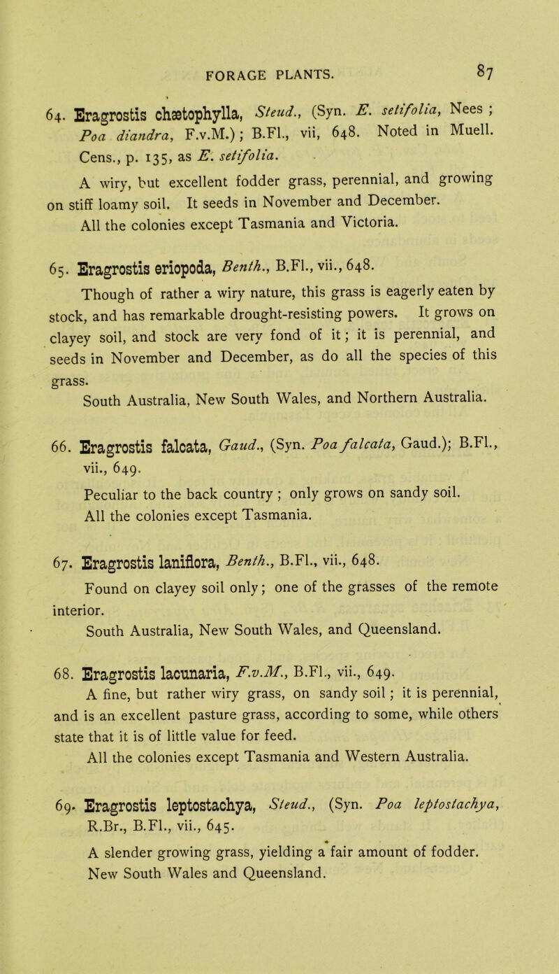 64. Eragrostis chsstophylla, Steud., (Syn. E. setifoha, Nees ; Poa diandra, F.v.M.) j B.Fl., vii, 648. Noted in Muell. Cens., p. 135, as E. setifolia. A wiry, but excellent fodder grass, perennial, and growing on stiff loamy soil. It seeds in November and December. All the colonies except Tasmania and Victoria. 65. Eragrostis eriopoda, Benth., B.Fl., vii., 648. Though of rather a wiry nature, this grass is eagerly eaten by stock, and has remarkable drought-resisting powers. It grows on clayey soil, and stock are very fond of it; it is perennial, and seeds in November and December, as do all the species of this grass. South Australia, New South Wales, and Northern Australia. 66. Eragrostis faloata, Gaud.^ (Syn. Poa falcata, Gaud.); B.Fl., vii., 649. Peculiar to the back country ; only grows on sandy soil. All the colonies except Tasmania. 67. Eragrostis laniflora, Benth., B.FL, vii., 648. Found on clayey soil only; one of the grasses of the remote interior. South Australia, New South Wales, and Queensland. 68. Eragrostis laounaria, F.v.M., B.FL, vii., 649. A fine, but rather wiry grass, on sandy soil; it is perennial, I and is an excellent pasture grass, according to some, while others state that it is of little value for feed. All the colonies except Tasmania and Western Australia. 69. Eragrostis leptostachya, Steud., (Syn. Poa Uptostachya, R.Br., B.FL, vii., 645. A slender growing grass, yielding a fair amount of fodder. New South Wales and Queensland.