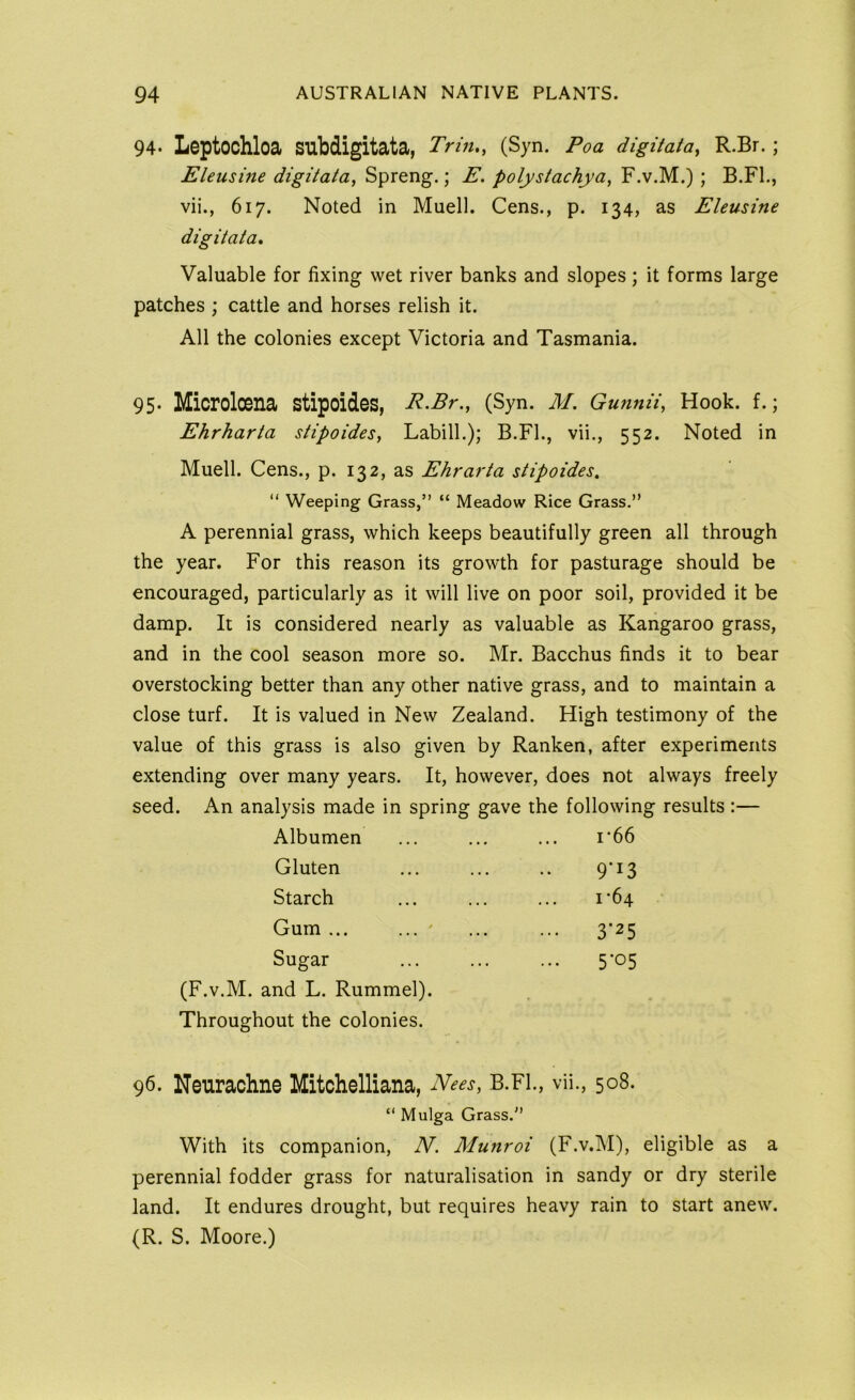 94. Leptochloa subdigitata, Trill,^ (Syn. Poa digitata^ R.Br. ; Eleusine digitata, Sprang.; E. polystachya, F.v.M.); B.Fl., vii., 617. Noted in Muell. Cens., p. 134, as Eleusine digitata. Valuable for fixing wet river banks and slopes; it forms large patches ; cattle and horses relish it. All the colonies except Victoria and Tasmania. 95- Microloena stipoides, R.Br., (Syn. M. Gunnii, Hook. f.; Ehrharta stipoides, Labill.); B.Fl., vii., 552. Noted in Muell. Cens., p. 132, as Ehrarta stipoides, “ Weeping Grass,” “ Meadow Rice Grass.” A perennial grass, which keeps beautifully green all through the year. For this reason its growth for pasturage should be encouraged, particularly as it will live on poor soil, provided it be damp. It is considered nearly as valuable as Kangaroo grass, and in the cool season more so. Mr. Bacchus finds it to bear overstocking better than any other native grass, and to maintain a close turf. It is valued in New Zealand. High testimony of the value of this grass is also given by Ranken, after experiments extending over many years. It, however, does not always freely seed. An analysis made in spring gave the following results:— Albumen ... ... ... i‘66 Gluten ... ... .. 9*13 Starch ... ... ... i‘64 ' Gum ... ... ' ... ... 3*25 Sugar 5*05 (F.v.M. and L. Rummel). Throughout the colonies. 96. Neurachne Mitchelliana, Nees, B.FL, vii., 508. “ Mulga Grass.” With its companion, N. Munroi (F.v.M), eligible as a perennial fodder grass for naturalisation in sandy or dry sterile land. It endures drought, but requires heavy rain to start anew. (R. S. Moore.)