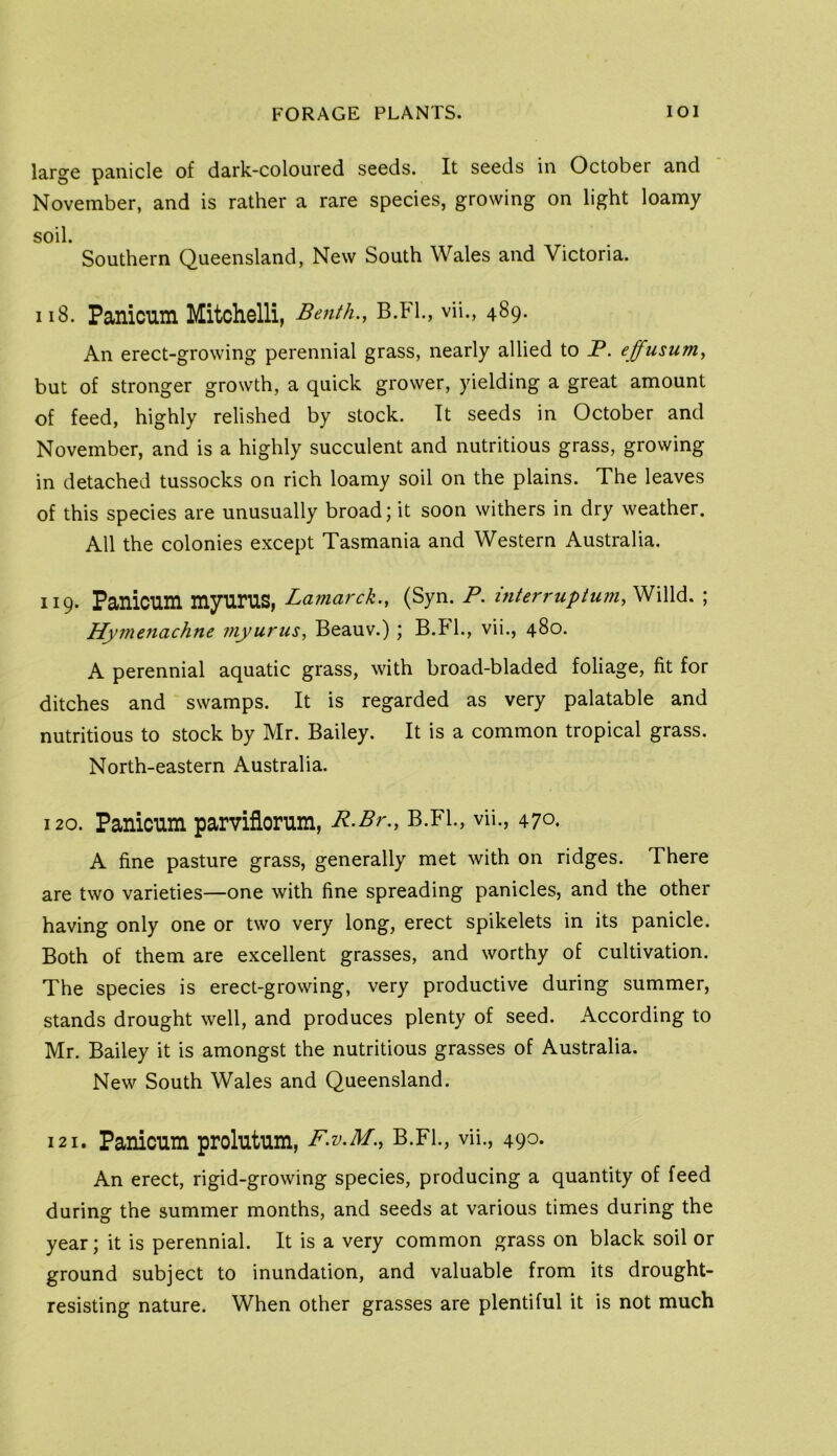 large panicle of dark-coloured seeds. It seeds in October and November, and is rather a rare species, growing on light loamy soil. Southern Queensland, New South Wales and Victoria. 118. Panicum Mitchelli, Bejith., B.Fl., vii., 489. An erect-growing perennial grass, nearly allied to P. effusum, but of stronger growth, a quick grower, yielding a great amount of feed, highly relished by stock. It seeds in October and November, and is a highly succulent and nutritious grass, growing in detached tussocks on rich loamy soil on the plains. The leaves of this species are unusually broad; it soon withers in dry weather. All the colonies except Tasmania and Western Australia. 119. Panicum myurus, Lamarck., (Syn. P. mterruptum, Willd. ; Hymenachne myurus, Beauv.) ; B.Fl., vii., 480. A perennial aquatic grass, with broad-bladed foliage, fit for ditches and swamps. It is regarded as very palatable and nutritious to stock by Mr. Bailey. It is a common tropical grass. North-eastern Australia. 120. Panicum parvificrum, R-Br., B.Fl., vii., 470. A fine pasture grass, generally met with on ridges. There are two varieties—one with fine spreading panicles, and the other having only one or two very long, erect spikelets in its panicle. Both of them are excellent grasses, and worthy of cultivation. The species is erect-growing, very productive during summer, stands drought well, and produces plenty of seed. According to Mr. Bailey it is amongst the nutritious grasses of Australia. New South Wales and Queensland. 121. Panicum prclutum, F.v.M., B.Fl., vii., 490. An erect, rigid-growing species, producing a quantity of feed during the summer months, and seeds at various times during the year; it is perennial. It is a very common grass on black soil or ground subject to inundation, and valuable from its drought- resisting nature. When other grasses are plentiful it is not much