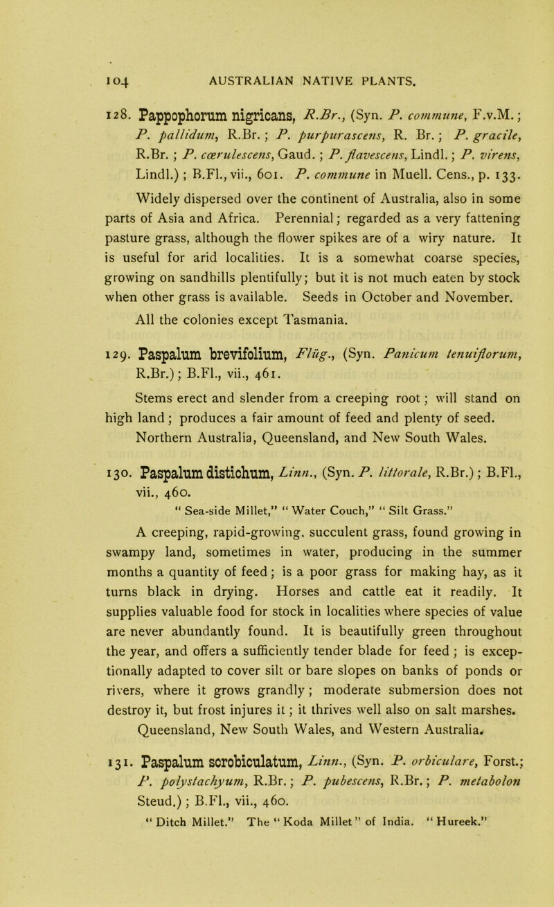 128. Pappophonim nigricans, R.Br., (Syn. P. commune, F.v.M.; P. pallidum^ R.Br.; P. purpurascens, R. Br.; P. gracile, R.Br. ; P. coerulescens, Gaud. ; P. flavescens, Lindl.; P. virens, Lindl.); B.Fl., vii., 601. P. commune in Muell. Cens., p. 133. Widely dispersed over the continent of Australia, also in some parts of Asia and Africa. Perennial; regarded as a very fattening pasture grass, although the flower spikes are of a wiry nature. It is useful for arid localities. It is a somewhat coarse species, growing on sandhills plentifully; but it is not much eaten by stock when other grass is available. Seeds in October and November. All the colonies except Tasmania. 129. Paspalum brevifolinm, Flug>, (Syn. Paniawi tenuiflorum, R.Br.); B.Fl., vii., 461. Stems erect and slender from a creeping root; will stand on high land; produces a fair amount of feed and plenty of seed. Northern Australia, Queensland, and New South Wales. 130. Paspalum distichum, Linn., (Syn. P. Httorale, R.Br.); B.FL, vii., 460. “ Sea-side Millet,” “ Water Couch,” “ Silt Grass.” A creeping, rapid-growing, succulent grass, found growing in swampy land, sometimes in water, producing in the summer months a quantity of feed; is a poor grass for making hay, as it turns black in drying. Horses and cattle eat it readily. It supplies valuable food for stock in localities where species of value are never abundantly found. It is beautifully green throughout the year, and offers a sufficiently tender blade for feed ; is excep- tionally adapted to cover silt or bare slopes on banks of ponds or rivers, where it grows grandly; moderate submersion does not destroy it, but frost injures it; it thrives well also on salt marshes. Queensland, New South Wales, and Western Australia. 131. Paspalum scrobiculatum, Lmn., (Syn. P. orbiculare, Forst.; P. polystachyum, R.Br.; P. pubescens, R.Br.; P. metabolon Steud.); B.FL, vii., 460. “ Ditch Millet.” The ” Koda Millet” of India. ” Hureek.”