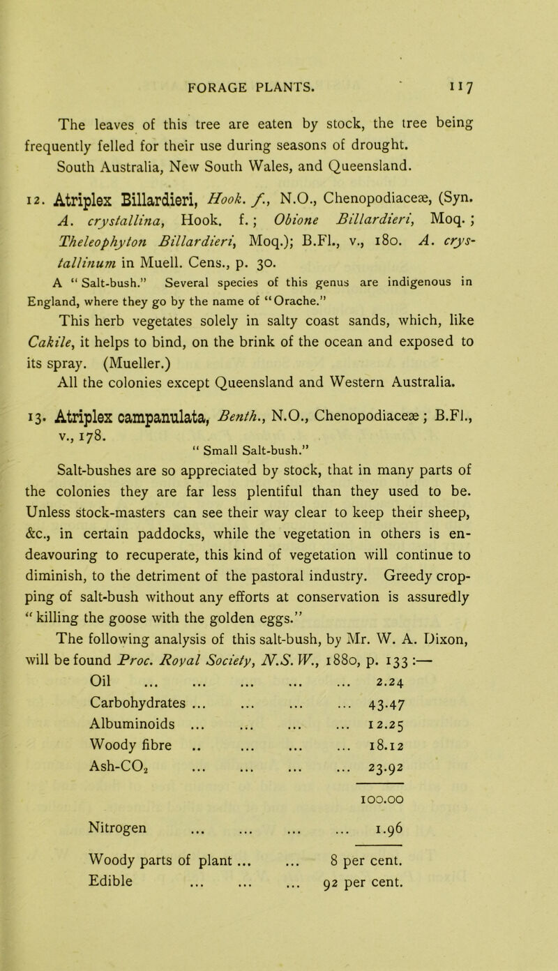 The leaves of this tree are eaten by stock, the tree being frequently felled for their use during seasons of drought. South Australia, New South Wales, and Queensland. 12. Atriplex Billardieri, Hook, f., N.O., Chenopodiaceae, (Syn. A. crystallma, Hook. f.; Obione Billardieri, Moq. ; Theleophyton Billardieri, Moq.); B.Fl., v., 180. A. crys- tallinum in Muell. Cens., p. 30. A “ Salt-bush.” Several species of this genus are indigenous in England, where they go by the name of “Orache.” This herb vegetates solely in salty coast sands, which, like Cakile, it helps to bind, on the brink of the ocean and exposed to its spray. (Mueller.) All the colonies except Queensland and Western Australia. 13* Atriplex campanulata, Benth., N.O., Chenopodiaceae; B.FL, V., 178. “ Small Salt-bush.” Salt-bushes are so appreciated by stock, that in many parts of the colonies they are far less plentiful than they used to be. Unless stock-masters can see their way clear to keep their sheep, &c., in certain paddocks, while the vegetation in others is en- deavouring to recuperate, this kind of vegetation will continue to diminish, to the detriment of the pastoral industry. Greedy crop- ping of salt-bush without any efforts at conservation is assuredly killing the goose with the golden eggs.” The following analysis of this salt-bush, by Mr. W. A. Dixon, will be found Broc. Royal Society, N.S. W., 1880, p. 133 :— ••• ••• ••• 2.24 Carbohydrates ... 43-47 Albuminoids ... 12.25 Woody fibre 18.12 Ash-COa 23.92 100.00 Nitrogen 1.96 Woody parts of plant... 8 per cent. Edible 92 per cent.