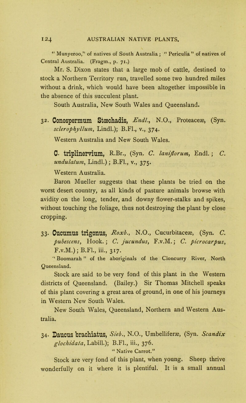 “ Munyeroo,” of natives of South Australia; Periculia” of natives of Central Australia. (Fragm., p. 71.) Mr. S. Dixon states that a large mob of cattle, destined to stock a Northern Territory run, travelled some two hundred miles without a drink, vvhich would have been altogether impossible in the absence of this succulent plant. South Australia, New South Wales and Queensland. 32. Conospermum Stcechadis, Endl.^ N.O., Proteacese, (Syn. sclerophyllum, Lindl.); B.Fl., v., 374. Western Australia and New South Wales. c. triplinervium, R.Br., (Syn. C. laniflorum^ Endl.; C. undulatum^ Lindl.); B.Fl., v., 375. Western Australia. Baron Mueller suggests that these plants be tried on the worst desert country, as all kinds of pasture animals browse with avidity on the long, tender, and downy flower-stalks and spikes, without touching the foliage, thus not destroying the plant by close cropping. 33- Cucnmus trigonns, Roxh., N.O., Cucurbitaceae, (Syn. C. pubescens, Hook.; C. jucundus, F.v.M.; C. picrocarpus, F.V.M.); B.Fl., iii., 317.  Boomarah ” of the aboriginals of the Cloncurry River, North Queensland. Stock are said to be very fond of this plant in the Western districts of Queensland. (Bailey.) Sir Thomas Mitchell speaks of this plant covering a great area of ground, in one of his journeys in Western New South Wales. New South Wales, Queensland, Northern and Western Aus- tralia. 34* DaUCUS brachiatus, Sieb., N.O., Umbelliferae, (Syn. Scandix glochidaia, Labill.); B.Fl., iii., 376. “ Native Carrot.” Stock are very fond of this plant, when young. Sheep thrive wonderfully on it where it is plentiful. It is a small annual