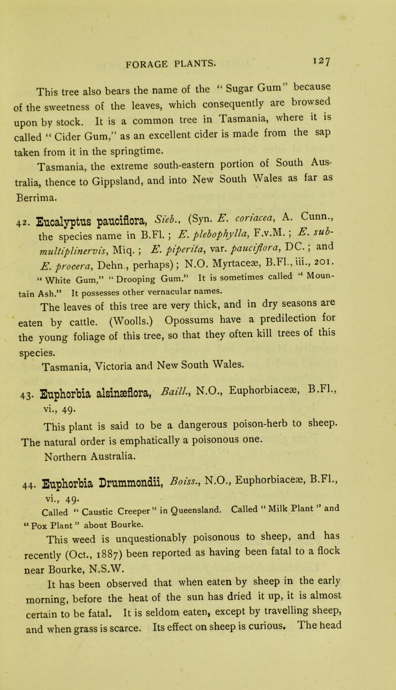 This tree also bears the name of the “ Sugar Gum” because of the sweetness of the leaves, which consequently are browsed upon by stock. It is a common tree in Tasmania, where it is called “ Cider Gum,” as an excellent cider is made from the sap taken from it in the springtime. Tasmania, the extreme south-eastern portion of South Aus- tralia, thence to Gippsland, and into New South Wales as far as Berrima. 42. Eucalyptus pauciflora, Sieb., (Syn. E. cormcea, A. Gunn., the species name in B.Fl. ; E. plebophylla, F.v.M.; E. sub- mult iplinerv is, Miq. ; E, piperita, var. pauciflora, DC.; and E. procera, Dehn., perhaps); N.O. Myrtaceae, B.Fl., iii., 201. “ White Gum,” ” Drooping Gum.” It is sometimes called “ Moun- tain Ash.” It possesses other vernacular names. The leaves of this tree are very thick, and in dry seasons are eaten by cattle. (Woods.) Opossums have a predilection for the young foliage of this tree, so that they often kill trees of this species. Tasmania, Victoria and New South Wales. 43- Euphorbia alsinasfiora, Baill., N.O., Euphorbiaceae, B.Fl., vi., 49. This plant is said to be a dangerous poison-herb to sheep. The natural order is emphatically a poisonous one. Northern Australia. 44. Euphorbia Drummondii, Boiss., N.O., Euphorbiaceae, B.Fl., vi., 49- Called ” Caustic Creeper ” in Queensland. Called ” Milk Plant ” and “ Pox Plant ” about Bourke. This weed is unquestionably poisonous to sheep, and has recently (Oct., 1887) been reported as having been fatal to a flock near Bourke, N.S.W. It has been observed that when eaten by sheep in the early morning, before the heat of the sun has dried it up, it is almost certain to be fatal. It is seldom eaten, except by travelling sheep, and when grass is scarce. Its effect on sheep is curious. The head