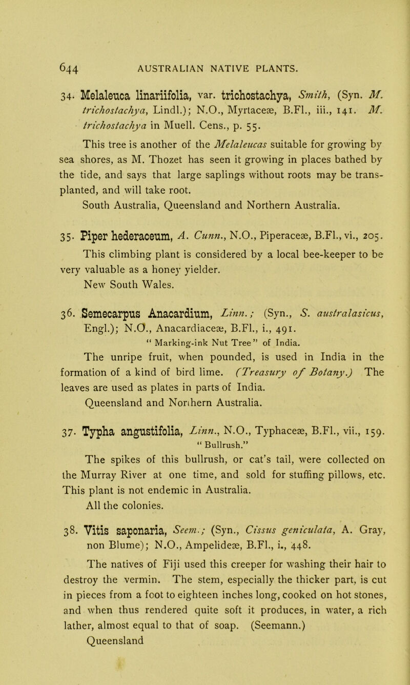 34- Melaleuca linariifolia, var. trichostachya, Smith, (Syn. M, trichostachya, Lindl.); N.O., Myrtacese, B.Fl., iii., 141. M. trichostachya in Muell. Cens., p. 55. This tree is another of the Melaleucas suitable for growing by sea shores, as M. Thozet has seen it growing in places bathed by the tide, and says that large saplings without roots may be trans- planted, and will take root. South Australia, Queensland and Northern Australia. 35- Piper hederaceum, A. N.O., Piperaceae, B.Fl., vi., 205. This climbing plant is considered by a local bee-keeper to be very valuable as a honey yielder. New South Wales. 36. Semecarpus Anacardium, Linn.; (Syn., A. australaskus, Engl.); N.O., Anacardiaceae, B.Fl., i., 491. “ Marking-ink Nut Tree” of India. The unripe fruit, when pounded, is used in India in the formation of a kind of bird lime. (Treasury of Botany.) The leaves are used as plates in parts of India. Queensland and Northern Australia. 37- Typha angustifolia, Linn., N.O., Typhaceae, B.FL, vii., 159. “ Bullrush.” The spikes of this bullrush, or cat’s tail, were collected on the Murray River at one time, and sold for stuffing pillows, etc. This plant is not endemic in Australia. All the colonies. 38. Vitis Saponaria, Seem.; (Syn., Cissus geniculata, A. Gray, non Blume); N.O., Ampelideae, B.FL, i., 448. The natives of Fiji used this creeper for washing their hair to destroy the vermin. The stem, especially the thicker part, is cut in pieces from a foot to eighteen inches long, cooked on hot stones, and when thus rendered quite soft it produces, in water, a rich lather, almost equal to that of soap. (Seemann.) Queensland