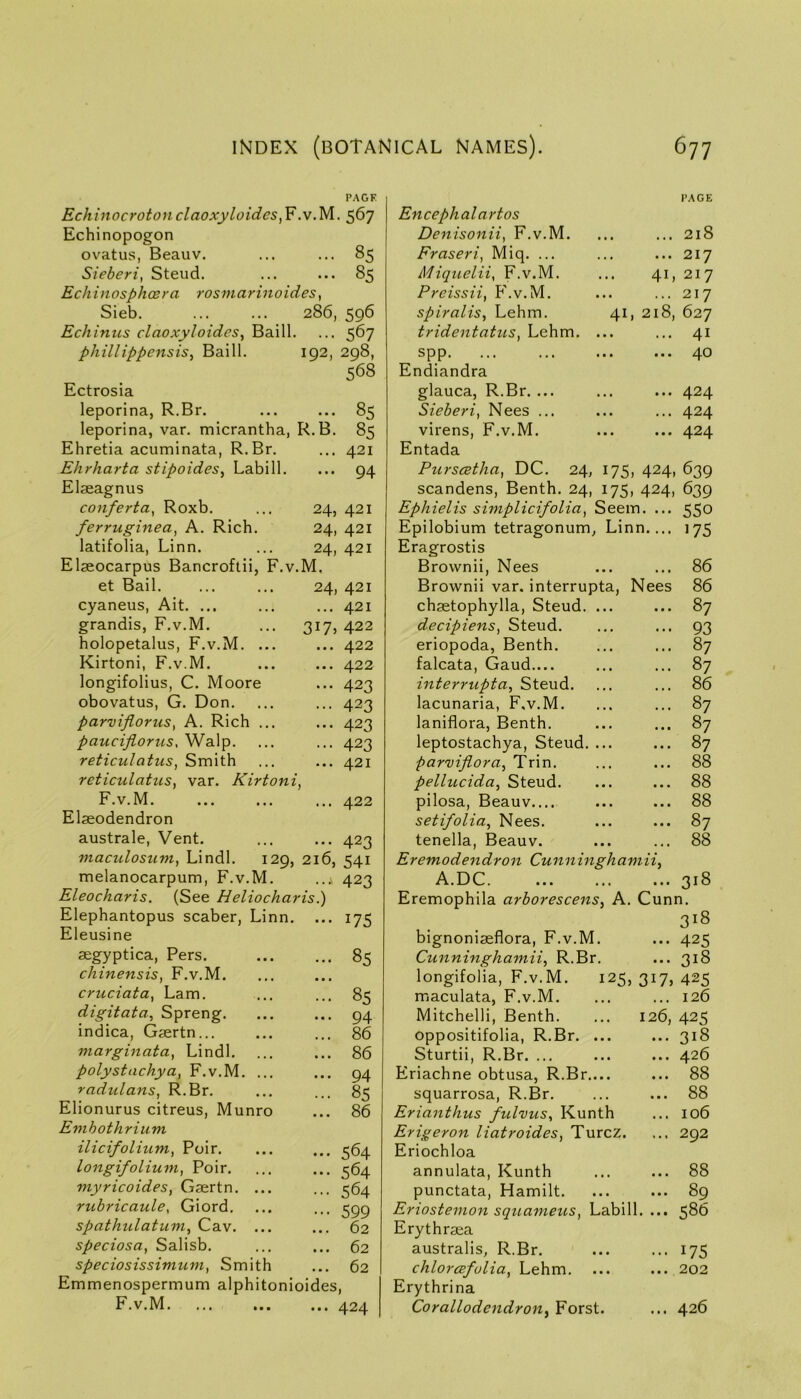 PAGF Echinocroton claoxyloidcs,F.v.M. 567 Echinopogon ovatus, Beauv. ... ... 85 Sieberi, Steud. ... ... 85 Echinosphoera rosmariiioides, Sieb. 286, 596 Echinus claoxyloidcs^ Baill. ... 567 phillippensis^ Baill. 192, 298, 568 Ectrosia leporina, R.Br. ... 85 leporina, van micrantha, R.B. 8^ Ehretia acuminata, R.Br. ... 421 Ehrharta stipoides, Labill. ... 94 Elaeagnus conferta, Roxb. 24, 421 ferruginea, A. Rich. 24, 421 latifolia, Linn. 24, 421 Elaeocarpus Bancroftii, F.v.M. et Bail. 24, 421 cyaneus, Ait. ... ... 421 grandis, F.v.M. 317, 422 holopetalus, F.v.M. ... ... 422 Kirtoni, F.v.M. ... 422 longifolius, C. Moore ... 423 obovatus, G. Don. ... 423 parviflorus, A. Rich ... ... 423 paucijiorus, Walp. ... 423 reticulatiis, Smith ... 421 > reticulatus, var. Kirtoni F.v.M. ... 422 Elaeodendron australe, Vent. ... ... 423 maculosum, Lindl. 129, 216, 541 melanocarpum, F.v.M. ..^ 423 Eleocharis. (See Heliocharis.) Elephantopus scaber, Linn. ... 175 Eleusine aegyptica, Pers. chinensis, F.v.M. cruciata^ Lam. digitata, Spreng. indica, Gsertn... marginata, Lindl. polystachyF.v.M. ... radulans, R.Br. Elionurus citreus, Munro Emhothrium ilicifolium, Poir. longifolium, Poir. viyricoides, Gaertn. ... riibricaule, Giord, spathulatum, Cav. ... speciosa, Salisb. Emmenospermum alphitonioides, F.v.M, ... ... ... 424 I'.\GE Encephalartos Denisonii^ F.v.M. ... 218 Fraseri, Miq, ... ... 217 Miquelii, F.v.M. 41, 217 Preissii, F.v.M. ... 217 spiralis, Lehm. 41 ,218, 627 tridentatiis, Lehm. ... ... 41 spp. Endiandra glauca, R.Br.... ... 424 Sieberi, Nees ... ... 424 virens, F.v.M. ... 424 Entada Purscetha, DC. 24, 175 , 424. 639 scandens, Benth. 24, 175, 424, 639 Ephielis simplicifolia, Seem. ... 550 Epilobium tetragonum, Linn.... 175 Eragrostis Brownii, Nees ... 86 Brownii var. interrupta, Nees 86 chaetophylla, Steud. ... ... 87 decipiens, Steud. 93 eriopoda, Benth. ... 87 falcata, Gaud.... ... 87 interrupta, Steud. ... 86 lacunaria, F.v.M, ... 87 laniflora, Benth. ... 87 leptostachya, Steud. ... ... 87 parvijiora, Trin. ... 88 pellucida, Steud. ... 88 pilosa, Beauv.... ... 88 setifolia, Nees, ... 87 tenella, Beauv. ... 88 Eremodendron Cunninghamii, A.DC. ... ... ... 318 Eremophila arborescens^ A. Cunn. 318 bignoniaeflora, F.v.M. ... 425 Cunninghamii, R.Br. ... 318 longifolia, F.v.M. 125, 317, 425 maculata, F.v.M. ... ... 126 Mitchelli, Benth. ... 126, 425 oppositifolia, R.Br. ... ... 318 Sturtii, R.Br. ... ... ... 426 Eriachne obtusa, R.Br.... ... 88 squarrosa, R.Br, ... ... 88 Erianthus fulvus^ Kunth ... 106 Erigeron liatroides^ Turcz. ... 292 Eriochloa annulata, Kunth ... ... 88 punctata, Hamilt. ... ... 89 Eriostemon squanieus, Labill. ... 586 Erythraea australis, R.Br. ... ... 175 Erythrina Corallodendron^ Forst. ... 426 ... 85 • • • ... 85 ... 94 ... 86 ... 86 ... 94 ... 85 ... 86 ... 564 ... 564 ... 564 ... 599 ... 62 ... 62