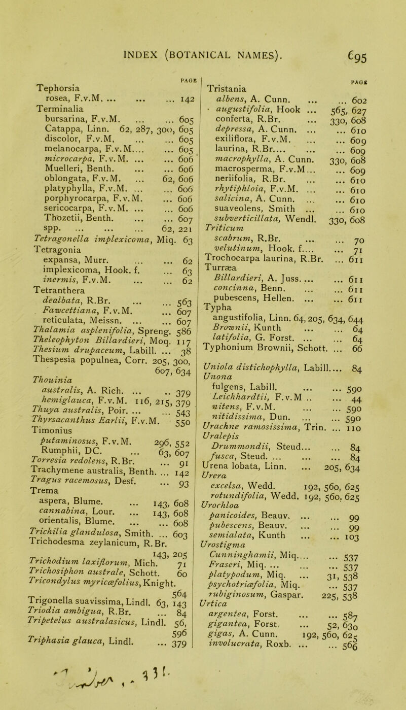 PAGE Tephorsia rosea, F.v.M ... 142 Terminalia bursarina, F.v.M. ... ... 605 Catappa, Linn. 62, 287, aoo, 60^ discolor, F.v.M. ... ... 605 melanocarpa, F.v.M.,.. ... 605 microcarpa, F.v.M. ... ... 606 Muelleri, Benth. ... ... 606 oblongata, F.v. M. ... 62,606 platyphylla, F.v.M. ... ... 606 porphyrocarpa, F.v.M. ... 606 sericocarpa, F.v.M. ... ... 606 Thozetii, Benth 607 spp. ... ... ... 62, 221 Tetragonella implexicoma, Miq. 63 Tetragonia expansa, Murr. ... ... 62 implexicoma, Hook. f. ... 63 inermis, F.v.M. ... ... 62 Tetranthera dealbata^ R.Br. ... 56^ Fawcettiana, F.v.M. ... 607 reticulata, Meissn 607 Thalamia asplenifolia, Spreng. 586 Theleophyton Billardieri, Moc^. 117 Thesium drupaceum, Labill. ... 38 Thespesia populnea, Corr. 205, 300, 607, 634 Thoninia australis^ A. Rich. ... ., 375 hemiglauca, F.v.M. 116, 215, 379 Thuya australis, Poir. ... ... 343 Thyrsacanthus Earlii, F.v.M. 550 Timonius Putaminosus, F.v.M. 296, 552 Rumphii, DC. ... 63, 607 Torresia redolens, R.Br. Trachymene australis, Benth. Tragus racemosus, Desf. Trema aspera, Blume. ... 143 cannabina, Lour. ... 143 orientalis, Blume Trichilia glandulosa. Smith. Trichodesma zeylanicum, R.Br. 143, Trichodium laxiflorum, Mich. Trichosiphon australe, Schott. Trtcondylus myriccefolius, Knight. . 564 Trigonella suavissima, Lindl. 63, 143 Triodia ambigua, R.Br. ... 84 Tripetelus australasicus, Lindl. 56, 596 Triphasia glauca, Ur\6\. ...379 91 142 93 608 608 608 603 205 71 60 Tristania albens, A. Cunn. • augustifolia, Hook ... conferta, R.Br. depressa, A. Cunn. ... exiliflora, F.v.M. laurina, R.Br macrophylla, A. Cunn. macrosperma, F.v.M... neriifolia, R.Br. rhytiphloia, F.v.M. ... salicina, A. Cunn. suaveolens, Smith ... subverticillata, Wendl. Triticum scabrum, R.Br. velutinum, Hook, f Trochocarpa laurina, R.Br. Turraea Billardieri, A. Juss. ... concinna, Benn. pubescens, Hellen. ... Typha angustifolia, Linn. 64,205, Brownii, Kunth latifolia, G. Forst. ... Typhonium Brownii, Schott, Uniola distichophylla, Unona fulgens, Labill. Leichhardtii, F.v.M nitens, B'.v.M. nitidissima, Dun. Urachne ramosissima, Ur ale pis Drummondii, Steud, fusca, Steud. ... Urena lobata, Linn. Ur era excelsa, Wedd. rotundifolia, Wedd. Urochloa panicoides, Beauv. pubescens, Beauv. semialata, Kunth U rostigma Cunninghamii, Miq.. Fraseri, Miq. ... platypodum, Miq. psychotricefolia, Miq. rubiginosum, Caspar. Urtica argentea, Forst. gigantea, Forst, gigas, A. Cunn. involucrata, Roxb. . Labill. Trin. PAG* ... 602 565. 627 330, 608 ... 610 ... 609 ... 609 330, 608 ... 609 ... 610 ... 610 ... 610 ... 610 330, 608 ... 70 ... 71 ... 61I ... 61I ... 61I ... 61I 634, 644 ... 64 ... 64 ... 66 84 590 44 590 590 110 ... 84 ... 84 205, 634 192, 560, 625 192, 560, 625 ' • • • • • 99 99 • • • ■ • • 1 537 537 3L 538 ••• 537 225, 538 • • • ■ • 5^7 •• 52) 630 192, 560, 621 566 '1 ^ 3 f