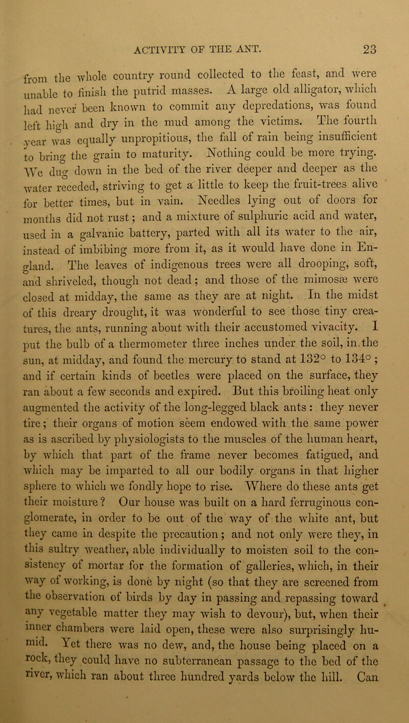 from the whole country round collected to the feast, and were unable to finish the putrid masses. A large old alligator, which had never been known to commit any depredations, was found left high and dry in the mud among the victims. The fourth year was equally unpropitious, the fall of rain being insufficient to bring the grain to maturity. Nothing could be more trying. We duo* down in the bed of the river deeper and deeper as the water receded, striving to get a little to keep the fruit-trees alive for better times, but in vain. Needles lying out of doors for months did not rust; and a mixture of sulphuric acid and water, used in a galvanic battery, parted with all its water to the air, instead of imbibing more from it, as it would have done in En- gland. The leaves of indigenous trees were all drooping, soft, and shriveled, though not dead; and those of the mirnosm wTere closed at midday, the same as they are at night. In the midst of this dreary drought, it was wonderful to see those tiny crea- tures, the ants, running about with their accustomed vivacity. 1 put the bulb of a thermometer three inches under the soil, in.the sun, at midday, and found the mercury to stand at 132° to 134° ; and if certain kinds of beetles were placed on the surface, they ran about a few seconds and expired. But this broiling heat only augmented the activity of the long-legged black ants : they never tire; their organs of motion seem endowed with the same power as is ascribed by physiologists to the muscles of the human heart, by which that part of the frame never becomes fatigued, and which may be imparted to all our bodily organs in that higher sphere to which we fondly hope to rise. Where do these ants get their moisture? Our house was built on a hard ferruginous con- glomerate, in order to be out of the way of the white ant, but they came in despite the precaution; and not only were they, in this sultry weather, able individually to moisten soil to the con- sistency of mortar for the formation of galleries, which, in their way ol working, is done by night (so that they are screened from the observation of birds by day in passing and repassing toward any vegetable matter they may wish to devour), but, when their inner chambers were laid open, these were also surprisingly hu- mid. ~ict there was no dew, and, the house being placed on a rock, they could have no subterranean passage to the bed of the river, which ran about three hundred yards below the hill. Can