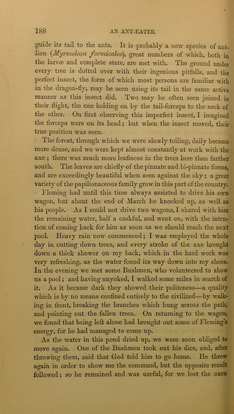 guide its tail to the ants. It is probably a new species of ant- lion (.Myrmeleon formicated), great numbers of which, both in the larvie and complete state, arc met with. The ground under every tree is dotted over with their ingenious pitfalls, and the perfect insect, the form of which most persons are familiar with in the dragon-fly, may be seen using its tail in the same active manner as this insect did. Two may be often seen joined in their flight, the one holding on by the tail-forceps to the neck of the other. On first observing this imperfect insect, I imagined the forceps were on its head; but when the insect moved, their true position was seen. The forest, through which we were slowly toiling, daily became more dense, and we were kept almost constantly at work with the axe ; there was much more leafiness in the trees here than farther south. The leaves are chiefly of the pinnate and bi-pinnate forms, and are exceedingly beautiful when seen against the sky ; a great variety of the papilionaceous family grow in this part of the country. Fleming had until this time always assisted to drive his own wagon, but about the end of March he knocked up, as well as his people. As I could not drive two wagons, I shared with him the remaining water, half a caskful, and went on, with the inten- tion of coming back for him as soon as we should reach the next pool. Heavy rain now commenced; I was employed the whole day in cutting down trees, and every stroke of the axe brought down a thick shower on my back, which in the hard work was very refreshing, as the water found its way down into my shoes. In the evening we met some Bushmen, who volunteered to show us a pool; and having unyoked, I walked some miles in search of it. As it became dark they showed their politeness—a quality which is by no means confined entirely to the civilized—by walk- ing in front, breaking the branches which hung across the path, and pointing out the fallen trees. On returning to the wagon, we found that being left alone had brought out some of Fleming’s energy, for he had managed to come up. As the water in this pond dried up, we were soon obliged to move again. One of the Bushmen took out his dice, and, after throwing them, said that God told him to go home. He threw again in order to show me the command, but the opposite result followed; so he remained and was useful, for we lost the oxen