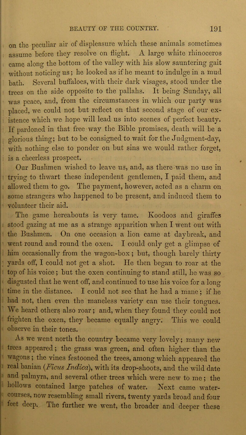 on the peculiar air of displeasure which these animals sometimes assume before they resolve on flight. A large white rhinoceros came along the bottom of the valley with his slow sauntering gait without noticing us; he looked as if he meant to indulge in a mud bath. Several buffaloes, with their dark visages, stood under the trees on the side opposite to the pallahs. It being Sunday, all was peace, and, from the circumstances in which our party was placed, we could not but reflect on that second stage of our ex- istence which we hope will lead us into scenes of perfect beauty. If pardoned in that free way the Bible promises, death will be a glorious thing; but to be consigned to wait for the Judgment-day, with nothing else to ponder on but sins we would rather forget, is a cheerless prospect. Our Bushmen wished to leave us, and, as there was no use in trying to thwart these independent gentlemen, I paid them, and allowed them to go. The payment, however, acted as a charm on some strangers who happened to be present, and induced them to volunteer their aid. The game hereabouts is very tame. Koodoos and giraffes stood gazing at me as a strange apparition when I went out with the Bushmen. On one occasion a lion came at daybreak, and went round and round the oxen. I could only get a glimpse of him occasionally from the wagon-box; but, though barely thirty yards off, I could not get a shot. He then began to roar at the top of his voice; but the oxen continuing to stand still, he was so disgusted that he went off, and continued to use his voice for a long time in the distance. I could not see that he had a mane; if he had not, then even the maneless variety can use their tongues. We heard others also roar; and, when they found they could not frighten the oxen, they became equally angry. This we could observe in their tones. As we went north the country became very lovely; many new trees appeared; the grass was green, and often higher than the wagons; the vines festooned the trees, among which appeared the ! real hanian {Ficus Indicci), with its drop-shoots, and the wild date and palmyra, and several other trees which were new to me; the hollows contained large patches of water. Next came water- courses, now resembling small rivers, twenty yards broad and four feet deep. The further we went, the broader and deeper these