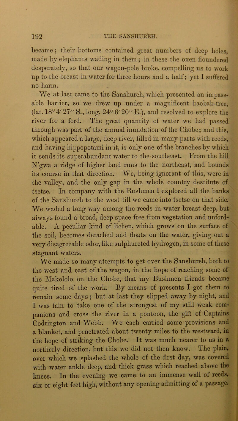 became; tlieir bottoms contained great numbers of deep holes, made by elephants wading in them; in these the oxen floundered desperately, so that our wagon-pole broke, compelling us to work up to the breast in water for three hours and a half; yet I suffered no harm. We at last came to the Sanshureh, which presented an impass- able barrier, so we drew up under a magnificent baobab-tree, (lat. 18°4/27// S., long. 24° 6/20//E.), and resolved to explore the river for a ford. The great quantity of water we had passed through was part of the annual inundation of the Chobe; and this, which appeared a large, deep river, filled in many parts with reeds, and having hippopotami in it, is only one of the branches by which it sends its superabundant water to the-southeast. From the hill N’gwa a ridge of higher land runs to the northeast, and bounds its course in that direction. We, being ignorant of this, were in the valley, and the only gap in the whole country destitute of tsetse. In company with the Bushmen I explored all the banks of the Sanshureh to the west till we came into tsetse on that side. We waded a long way among the reeds in water breast deep, but always found a broad, deep space free from vegetation and unford- able. A peculiar kind of lichen, which grows on the surface of the soil, becomes detached and floats on the water, giving out a very disagreeable odor, like sulphureted hydrogen, in some of these stagnant waters. We made so many attempts to get over the Sanshureh, both to the west and east of the wagon, in the hope of reaching some of the Makololo on the Chobe, that my Bushmen friends became quite tired of the work. By means of presents I got them to remain some days; but at last they slipped away by night, and I was fain to take one of the strongest of my still weak com- panions and cross the river in a pontoon, the gift of Captains Codrington and Webb. We each carried some provisions and a blanket, and penetrated about twenty miles to the westward, in the hope of striking the Chobe. It was much nearer to us in a northerly direction, but this we did not then know. The plain, over which we splashed the whole of the first day, was covered with water ankle deep, and thick grass which reached above the knees. In the evening we came to an immense wall of reeds, six or eight feet high, without any opening admitting of a passage.