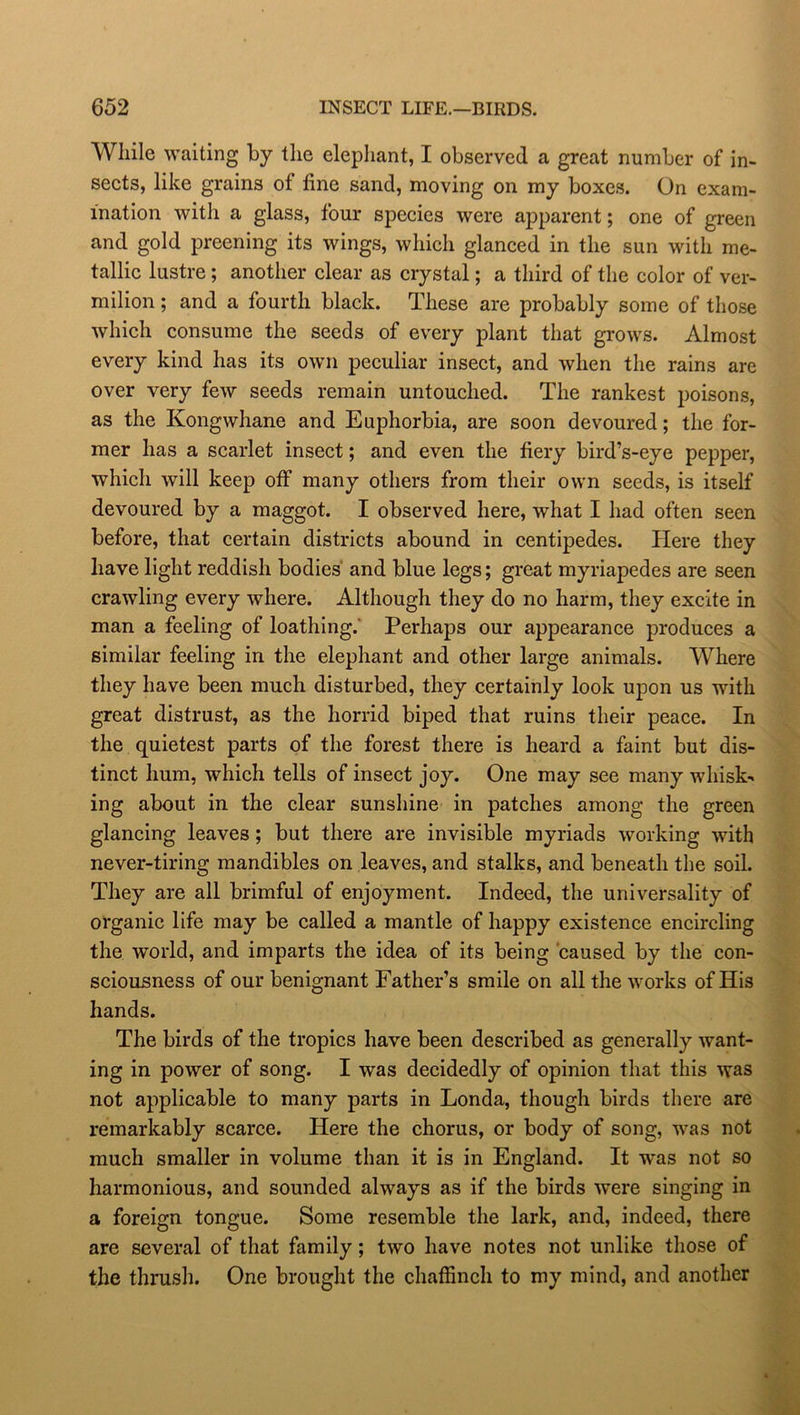 While waiting by the elephant, I observed a great number of in- sects, like grains of fine sand, moving on my boxes. On exam- ination with a glass, four species were apparent; one of green and gold preening its wings, which glanced in the sun with me- tallic lustre ; another clear as crystal; a third of the color of ver- milion ; and a fourth black. These are probably some of those which consume the seeds of every plant that grows. Almost every kind has its own peculiar insect, and when the rains are over very few seeds remain untouched. The rankest poisons, as the Kongwhane and Euphorbia, are soon devoured; the for- mer has a scarlet insect; and even the fiery bird’s-eye pepper, which will keep off many others from their own seeds, is itself devoured by a maggot. I observed here, what I had often seen before, that certain districts abound in centipedes. Here they have light reddish bodies and blue legs; great myriapedes are seen crawling every where. Although they do no harm, they excite in man a feeling of loathing.' Perhaps our appearance produces a similar feeling in the elephant and other large animals. Where they have been much disturbed, they certainly look upon us with great distrust, as the horrid biped that ruins their peace. In the quietest parts of the forest there is heard a faint but dis- tinct hum, which tells of insect joy. One may see many whisk- ing about in the clear sunshine in patches among the green glancing leaves; but there are invisible myriads working with never-tiring mandibles on leaves, and stalks, and beneath the soil. They are all brimful of enjoyment. Indeed, the universality of organic life may be called a mantle of happy existence encircling the world, and imparts the idea of its being caused by the con- sciousness of our benignant Father’s smile on all the works of His hands. The birds of the tropics have been described as generally want- ing in power of song. I was decidedly of opinion that this was not applicable to many parts in Londa, though birds there are remarkably scarce. Here the chorus, or body of song, was not much smaller in volume than it is in England. It was not so harmonious, and sounded always as if the birds were singing in a foreign tongue. Some resemble the lark, and, indeed, there are several of that family; two have notes not unlike those of the thrush. One brought the chaffinch to my mind, and another