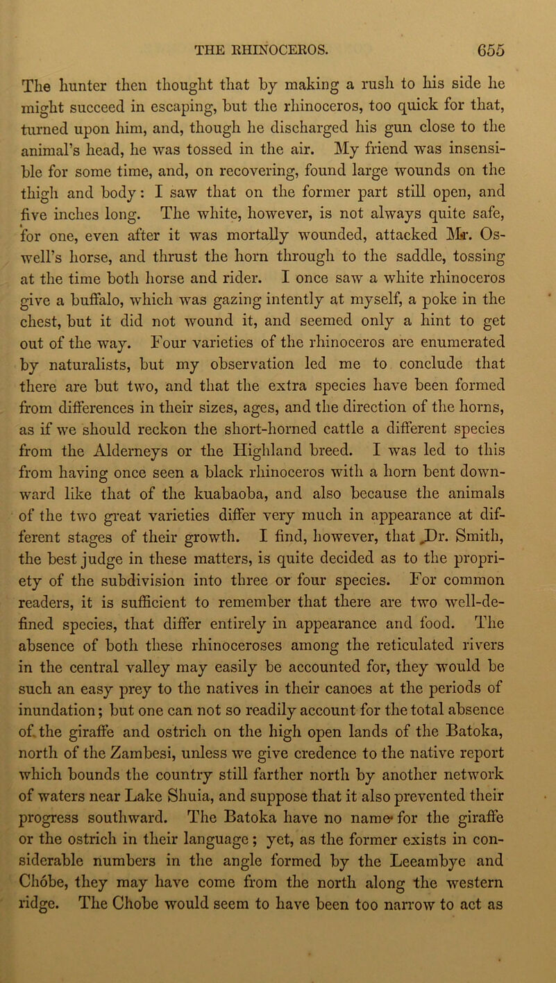 The hunter then thought that by making a rush to his side he might succeed in escaping, but the rhinoceros, too quick for that, turned upon him, and, though he discharged his gun close to the animal’s head, he was tossed in the air. My friend was insensi- ble for some time, and, on recovering, found large wounds on the thigh and body: I saw that on the former part still open, and five inches long. The white, however, is not always quite safe, for one, even after it was mortally wounded, attacked Mr. Os- well’s horse, and thrust the horn through to the saddle, tossing at the time both horse and rider. I once saw a white rhinoceros give a buffalo, which was gazing intently at myself, a poke in the chest, but it did not wound it, and seemed only a hint to get out of the way. Four varieties of the rhinoceros are enumerated by naturalists, but my observation led me to conclude that there are but two, and that the extra species have been formed from differences in tlieir sizes, ages, and the direction of the horns, as if we should reckon the short-horned cattle a different species from the Alderneys or the Highland breed. I was led to this from having once seen a black rhinoceros with a horn bent down- ward like that of the kuabaoba, and also because the animals of the two great varieties differ very much in appearance at dif- ferent stages of their growth. I find, however, that Hr. Smith, the best judge in these matters, is quite decided as to the propri- ety of the subdivision into three or four species. For common readers, it is sufficient to remember that there are two well-de- fined species, that differ entirely in appearance and food. The absence of both these rhinoceroses among the reticulated rivers in the central valley may easily be accounted for, they would be such an easy prey to the natives in their canoes at the periods of inundation; but one can not so readily account for the total absence of the giraffe and ostrich on the high open lands of the Batoka, north of the Zambesi, unless we give credence to the native report which bounds the country still farther north by another network of waters near Lake Shuia, and suppose that it also prevented their progress southward. The Batoka have no name' for the giraffe or the ostrich in their language; yet, as the former exists in con- siderable numbers in the angle formed by the Leeambye and Chobe, they may have come from the north along the western ridge. The Chobe would seem to have been too narrow to act as