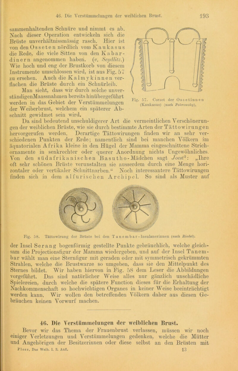 sammenhaltenden Schnüre und nimmt es ab. Nach dieser Operation entwickeln sich die Erliste unverhältnissmässig rasch. Hier ist von den Osseten nördlich vom Kaukasus die Bede, die viele Sitten von den Kabar- dinern angenommen haben, (r. Seydlitz.) Wie hoch und eng der Brustkorb von diesem Instrumente umschlossen wird, ist aus Fig. 57 zu ersehen. Auch die K a 1 m y k i n n e n ver- flachen die Brüste durch ein Schnürleib. Man sieht, dass wir durch solche unver- ständigenMaassnahmen bereits hinübergeführt werden in das Gebiet der Verstümmelungen der Weiberbrust, welchem ein späterer Ab- schnitt gewidmet sein wird. Da sind bedeutend unschuldigerer Art die vermeintlichen Verschönerun- gen der weiblichen Brüste, wie sie durch bestimmte Arten der Tättowirungen hervorgerufen werden. Derartige Tättowirungen finden wir an sehr ver- schiedenen Punkten der Erde; namentlich sind bei manchen Völkern im äquatorialen Afrika kleine in den Hügel der Mamma eingeschnittene Strich- ornamente in senkrechter oder querer Anordnung nichts Ungewöhnliches. Von den südafrikanischen Basutho-Mädchen sagt Joest3: „Ihre oft sehr schönen Brüste verunstalten sie ausserdem durch eine Menge hori- zontaler oder vertikaler Schnittnarben.“ Noch interessantere Tättowirungen finden sich in dem alfurischen Archipel. So sind als Muster auf Fig. 58. Tättowirung der Brüste bei den T a n e m b a r - Insulanerinnen (nach Riedel). der Insel Ser an g bogenförmig gestellte Punkte gebräuchlich, welche gleich- sam die Projectionsfigur der Mamma wiedergeben, und auf der Insel Tanem- bar wählt man eine Sternfigur mit geraden oder mit symmetrisch gekrümmten Strahlen, welche die Brustwarze so umgeben, dass sie den Mittelpunkt des Sternes bildet. AVir haben hiervon in Fig. 58 dem Leser die Abbildungen vorgeführt. Das sind natürlicher Weise alles nur gänzlich unschädliche Spielereien, durch welche die spätere Function dieses für die Erhaltung der Nachkommenschaft so hochwichtigen Organes in keiner Weise beeinträchtigt werden kann. AVir wollen den betreffenden ATölkern daher aus diesen Ge- bräuchen keinen Vorwurf machen. Fig. 57. Corset der Ossetinnen (Kaukasus) (nach Pokroivsky). 46. Die 4rerstiimmelungen der weiblichen Brust. Bevor wir das Thema der Frauenbrust verlassen, müssen wir noch einiger Verletzungen und Verstümmelungen gedenken, welche die Mütter und Angehörigen der Besitzerinnen oder diese selbst an den Brüsten mit Ploss, Das Weih. I. 3. Aufl. 13