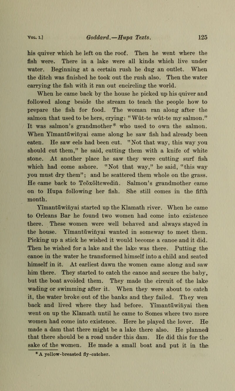 his quiver which he left on the roof. Then he went where the fish were. There in a lake were all kinds which live under water. Beginning at a certain rush he dug an outlet. When the ditch was finished he took out the rush also. Then the water carrying the fish with it ran out encircling the world. When he came back by the house he picked up his quiver and followed along beside the stream to teach the people how to prepare the fish for food. The woman ran along after the salmon that used to be hers, crying:  Wut-te wut-te my salmon.” It was salmon’s grandmother* who used to own the salmon. When Yimantuwihyai came along he saw fish had already been eaten. He saw eels had been cut. Not that way, this way you should cut them,” he said, cutting them with a knife of white stone. At another place he saw they were cutting surf fish which had come ashore. Not that way,” he said, this way you must dry them”; and he scattered them whole on the grass. He came back to Tcoxoltcwedih. Salmon’s grandmother came on to Hupa following her fish. She still comes in the fifth month. Yimantuwihyai started up the Klamath river. When he came to Orleans Bar he found two women had come into existence there. These women were well behaved and always stayed in the house. Yimantuwihyai wanted in someway to meet them. Picking up a stick he wished it would become a canoe and it did. Then he wished for a lake and the lake was there. Putting the canoe in the water he transformed himself into a child and seated himself in it. At earliest dawn the women came along and saw him there. They started to catch the canoe and secure the baby, but the boat avoided them. They made the circuit of the lake wading or swimming after it. When they were about to catch it, the water broke out of the banks and they failed. They wen back and lived where they had before. YImantuwinyai then went on up the Klamath until he came to Somes where two more women had come into existence. Here he played the lover. He made a dam that there might be a lake there also. He planned that there should be a road under this dam. He did this for the sake of the women. He made a small boat and put it in the: *A yellow-breasted fly-catcher.