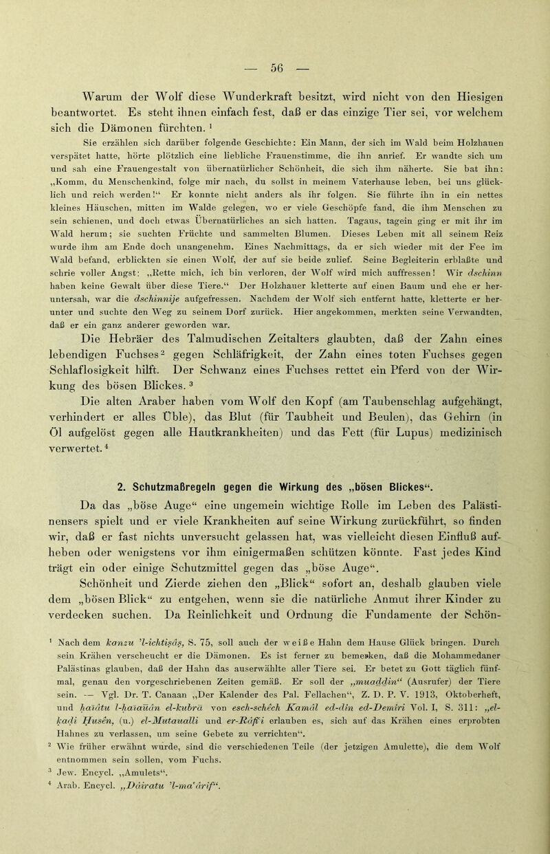 Warum der Wolf diese Wunderkraft besitzt, wird nicht von den Hiesigen beantwortet. Es steht ihnen einfach fest, daß er das einzige Tier sei, vor welchem sich die Dämonen fürchten. 1 Sie erzählen sich darüber folgende Geschichte: Ein Mann, der sich im Wald beim Holzlianen verspätet hatte, hörte plötzlich eine liebliche Frauenstimme, die ihn anrief. Er wandte sich um und sah eine Frauengestalt von übernatürlicher Schönheit, die sich ihm näherte. Sie bat ihn: „Komm, du Menschenkind, folge mir nach, du sollst in meinem Vaterhause leben, bei uns glück- lich und reich werden!“ Er konnte nicht anders als ihr folgen. Sie führte ihn in ein nettes kleines Häuschen, mitten im Walde gelegen, wo er viele Geschöpfe fand, die ihm Menschen zu sein schienen, und doch etwas Übernatürliches an sich hatten. Tagaus, tagein ging er mit ihr im Wald herum; sie suchten Früchte und sammelten Blumen. Dieses Leben mit all seinem Beiz wurde ihm am Ende doch unangenehm. Eines Nachmittags, da er sich wieder mit der Fee im Wald befand, erblickten sie einen Wolf, der auf sie beide zulief. Seine Begleiterin erblaßte und schrie voller Angst: „Rette mich, ich bin verloren, der Wolf wird mich auffressen! Wir dscliinn haben keine Gewalt über diese Tiere.“ Der Holzhauer kletterte auf einen Baum und ehe er her- untersah, war die dschinnije aufgefressen. Nachdem der Wolf sich entfernt hatte, kletterte er her- unter und suchte den Weg zu seinem Dorf zurück. Hier angekommen, merkten seine Verwandten, daß er ein ganz anderer geworden war. Die Hebräer des Talmudischen Zeitalters glaubten, daß der Zahn eines lebendigen Fuchses2 gegen Schläfrigkeit, der Zahn eines toten Fuchses gegen Schlaflosigkeit hilft. Der Schwanz eines Fuchses rettet ein Pferd von der Wir- kung des bösen Blickes.3 Die alten Araber haben vom Wolf den Kopf (am Taubenschlag aufgehängt, verhindert er alles Üble), das Blut (für Taubheit und Beulen), das Gehirn (in öl aufgelöst gegen alle Hautkrankheiten) und das Fett (für Lupus) medizinisch verwertet.4 2. Schutzmaßregeln gegen die Wirkung des „bösen Blickes“. Da das „böse Auge“ eine ungemein wichtige Rolle im Leben des Palästi- nensers spielt und er viele Krankheiten auf seine Wirkung zurückführt, so finden wir, daß er fast nichts unversucht gelassen hat, was vielleicht diesen Einfluß auf- heben oder wenigstens vor ihm einigermaßen schützen könnte. Fast jedes Kind trägt ein oder einige Schutzmittel gegen das „böse Auge“. Schönheit und Zierde ziehen den „Blick“ sofoi’t an, deshalb glauben viele dem „bösen Blick“ zu entgehen, wenn sie die natürliche Anmut ihrer Kinder zu verdecken suchen. Da Reinlichkeit und Ordnung die Fundamente der Schön- 1 Nach dem kanzu ’l-ichtisäs, S. 75, soll auch der weiße Hahn dem Hause Glück bringen. Durch sein Krähen verscheucht er die Dämonen. Es ist ferner zir beme»ken, daß die Mohammedaner Palästinas glauben, daß der Hahn das auserwählte aller Tiere sei. Er betet zu Gott täglich fünf- mal, genau den vorgeschriebenen Zeiten gemäß. Er soll der „muaddin“ (Ausrufer) der Tiere sein. — Vgl. Dr. T. Canaan „Der Kalender des Pal. Fellachen“, Z. D. P. V. 1913, Oktoberheft, und Jialätu 1-halaüdn el-kubrä von esch-schech Kamäl ed-din ed-Demiri Vol. I, S. 311: „el- kadi Husen, (u.) el-Mutaualli und er-Rdfüi erlauben es, sich auf das Krähen eines erprobten Hahnes zu verlassen, um seine Gebete zu verrichten“. 2 Wie früher erwähnt wurde, sind die verschiedenen Teile (der jetzigen Amulette), die dem Wolf entnommen sein sollen, vom Fuchs. 3 Jew. Encycl. „Amulets“. 4 Arab. Encycl. „Däiratu 'l-ma'drif“.