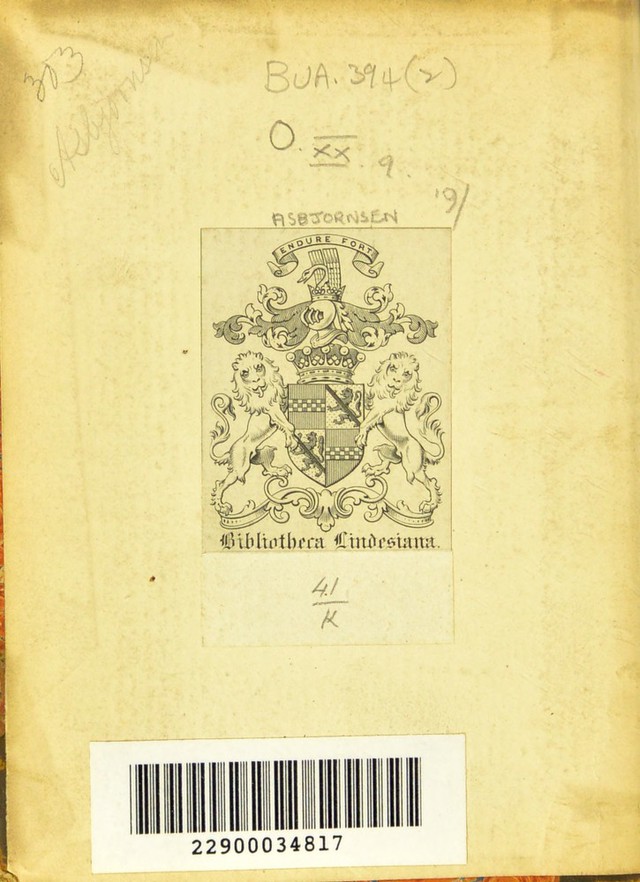 digitised image 2