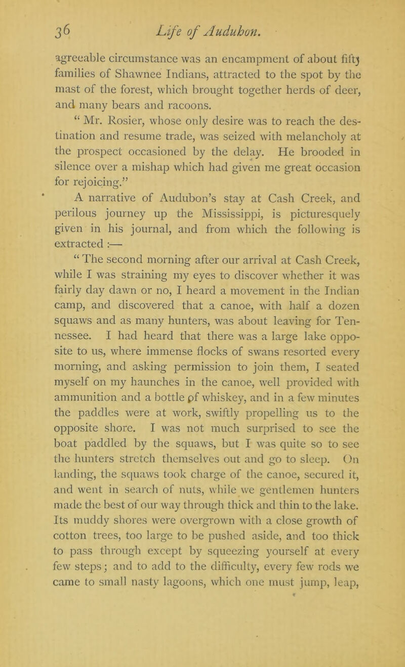 agreeable circumstance was an encampment of about fil'tj families of Shawnee Indians, attracted to the spot by the mast of the forest, which brought together herds of deer, and many bears and racoons. “ Mr. Rosier, whose only desire was to reach the des- tination and resume trade, was seized with melancholy at the prospect occasioned by the delay. He brooded in silence over a mishap which had given me great occasion for rejoicing.” A narrative of Audubon’s stay at Cash Creek, and perilous journey up the Mississippi, is picturesquely given in his journal, and from which the following is extracted :— “ The second morning after our arrival at Cash Creek, while I was straining my eyes to discover whether it was fairly day dawn or no, I heard a movement in the Indian camp, and discovered that a canoe, with half a dozen squaws and as many hunters, was about leaving for Ten- nessee. I had heard that there was a large lake oppo- site to us, where immense flocks of swans resorted every morning, and asking permission to join them, I seated myself on my haunches in the canoe, well provided with ammunition and a bottle pf whiskey, and in a few minutes the paddles were at work, swiftly propelling us to the opposite shore. I was not much surprised to see the boat paddled by the squaws, but I was quite so to see the hunters stretch themselves out and go to sleep. On landing, the sc[uaws took charge of the canoe, secured it, and went in search of nuts, while we gentlemen hunters made the best of our way through thick and thin to the lake. Its muddy shores were overgrown with a close growth of cotton trees, too large to be pushed aside, and too thick to pass through except by squeezing yourself at every few steps; and to add to the difficulty, every few rods we came to small nasty lagoons, which one must jump, leap,