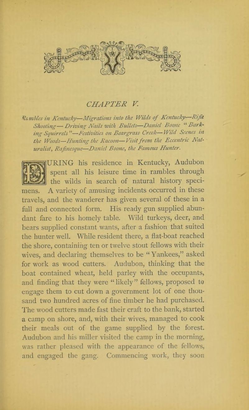 CHAPTER V Ra mbles in Kcfitucky—Migrations into the Wilds of Kentucky—Rift Skootina—Driving Kails with Bullets—Darnel Boone Bark- ing Squirrels—B'estivitics on Beargrass Creek—Wild Scenes in the Woods—Hunting the Racoon—Visit from the Eccentric Nat- uralist, Rafinesque—Daniel Boone, the Famous Hunter. URING his residence in Kentucky, Audubon spent all his leisure time in rambles through the wilds in search of natural history speci- mens. A variety of amusing incidents occurred in these travels, and the wanderer has given several of these in a full and connected form. His ready gun supplied abun- dant fare to his homely table. Wild turkeys, deer, and bears supplied constant wants, after a fashion that suited the hunter well. While resident there, a flat-boat reached the shore, containing ten or twelve stout fellows with their wives, and declaring themselves to be “Yankees,” asked for work as wood cutters. Audubon, thinking that the boat contained wheat, held parley with the occupants, and finding that they were “ likely ” fellows, proposed to engage them to cut down a government lot of one thou- sand two hundred acres of fine timber he had purchased, d'he wood cutters made fast their craft to the bank, started a camp on shore, and, with their wives, managed to cook their meals out of the game supplied by the forest. Audubon and his miller visited the camp in the morning, was rather pleased with the appearance of the fellows, and engaged the gang. Commencing work, they soon