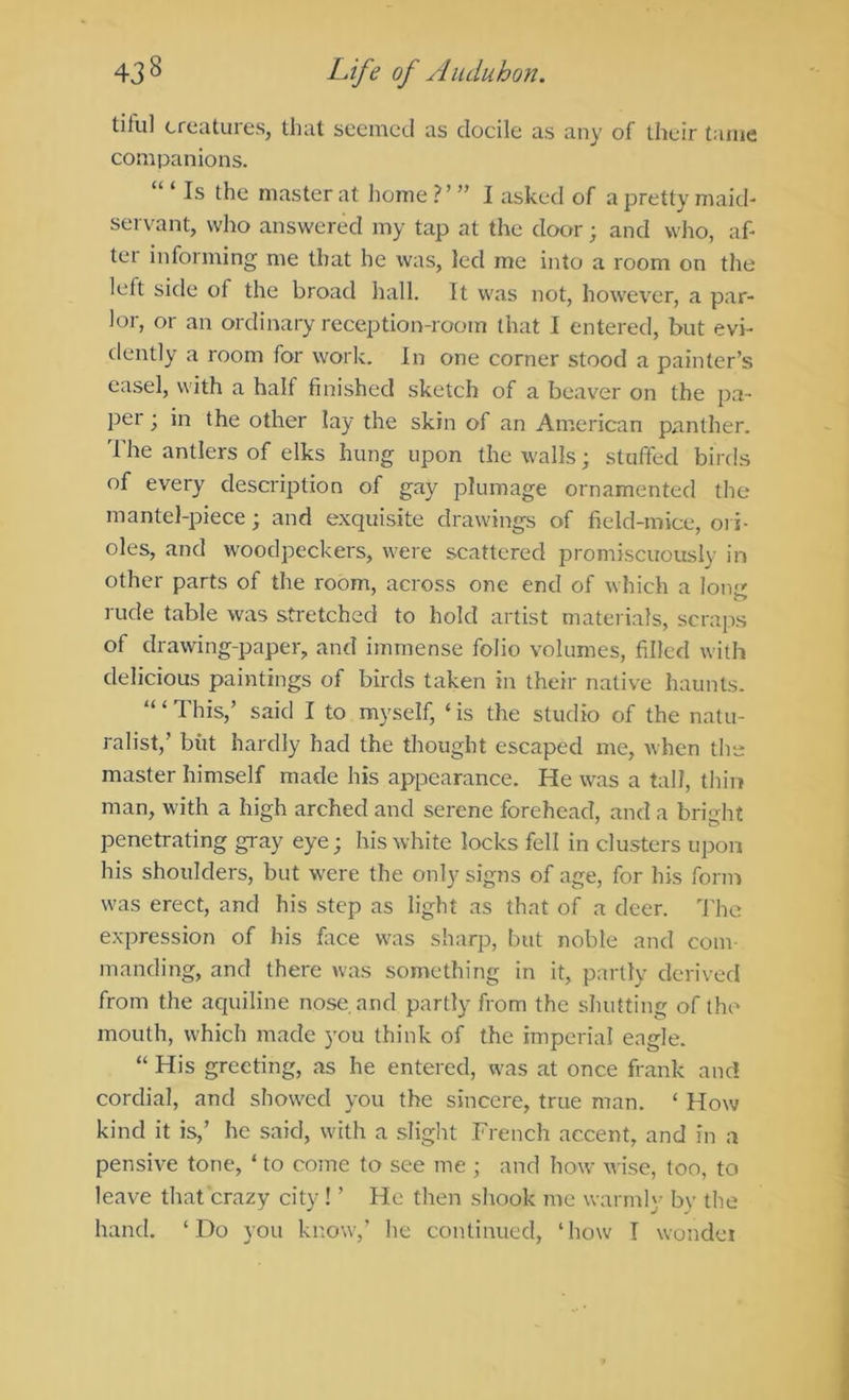 tilul creatures, that seemed as docile as any of their tame companions. Is the master at home?’” I asked of a pretty maid- servant, who answered my tap at the door; and vvlio, af- ter informing me that he was, led me into a room on the left side of the broad liall. It was not, however, a par- lor, or an ordinary reception-room that I entered, but evi- dently a room for work. In one corner stood a painter’s easel, with a half finished sketch of a beaver on the pa- per ; in the other lay the skin of an American panther. The antlers of elks hung upon the walls; stuffed birds of every description of gay plumage ornamented the mantel-piece; and exquisite drawings of field-mice, ori- oles, and woodpeckers, were scattered promiscuously in other parts of the room, across one end of which a long rude table was stretched to hold artist materials, scraps of drawing-paper, and immense folio volumes, filled with delicious paintings of birds taken in their native haunts. “‘This,’ said I to myself, ‘is the studio of the natu- ralist,’ but hardly had the thought escaped me, when the master himself made his appearance. He was a tall, thin man, with a high arched and serene forehead, and a bright penetrating gray eye; his white locks fell in clusters upon his shoulders, but were the only signs of age, for his form was erect, and his step as light as that of a deer. The expression of his flice was sharp, but noble and com- manding, and there was something in it, partly derived from the aquiline nose, and partly from the shutting of the mouth, which made you think of the imperial eagle. “ His greeting, as he entered, was at once frank and cordial, and showed you the sincere, true man. ‘ How kind it is,’ he said, with a slight French accent, and in a pensive tone, ‘ to come to see me ; and how wise, too, to leave that crazy city ! ’ He then shook me warmly by the hand. ‘Do you know,’ he continued, ‘how I wundci
