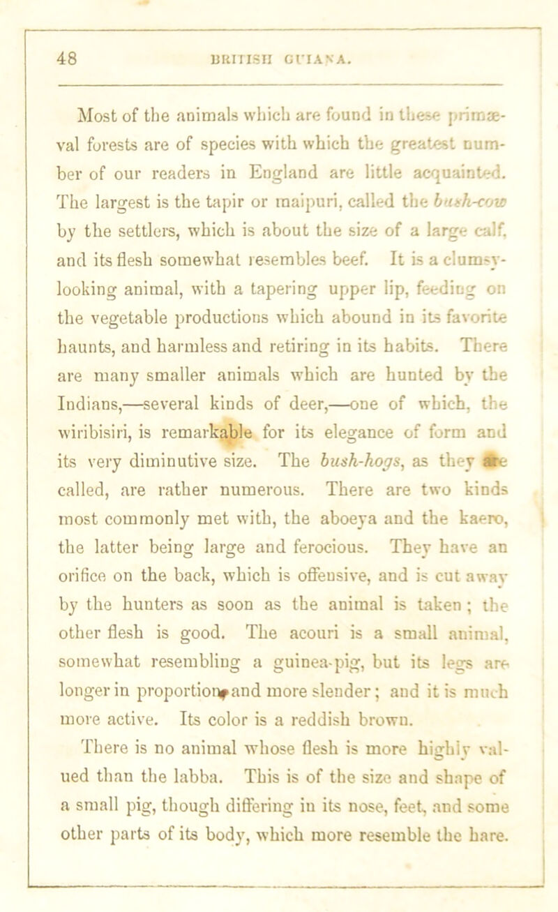 Most of the animals which are found in these primae- val forests are of species with which the greatest num- ber of our readers in England are little acquainted. The largest is the tapir or maipuri, called the bath-cow by the settlers, which is about the size of a large calf, and its flesh somewhat resembles beef. It is a clum-y- looking animal, with a tapering upper lip, feeding on the vegetable productions which abound in its favorite haunts, and harmless and retiring in its habits. There are many smaller animals which are hunted by the Indians,—several kinds of deer,—one of which, the wiribisiri, is remarkable for its elegance of form and its very diminutive size. The bush-hogs, as they #e called, are rather numerous. There are two kinds most commonly met with, the aboeya and the kaero, the latter being large and ferocious. They have an orifice on the back, which is offensive, and is cut awav by the hunters as soon as the animal is taken ; the other flesh is good. The acouri is a small animal, somewhat resembling a guinea-pig, but its legs are longer in proportion and more slender; and it is much more active. Its color is a reddish brown. There is no animal whose flesh is more highly val- ued than the labba. This is of the size and shape of a small pig, though differing in its nose, feet, and some other parts of its body, which more resemble the hare.