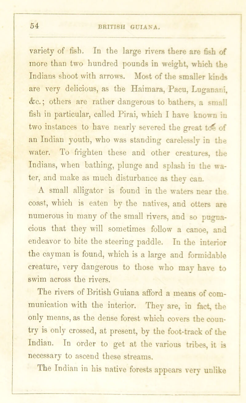 variety of fish. In the large rivers there are fish of more than two hundred pounds in weight, which the Indians shoot with arrows. Most of the smaller kinds are very delicious, as the Haimara, Pacu, Lurranani, See.] others are rather dangerous to bathers, a small fish in particular, called Pirai, which I have known in two instances to have nearly severed the great of an Indian youth, who was standing carelessly in the water. To frighten these and other creatures, the Indians, when bathing, plunge and splash in the wa- ter, and make as much disturbance as thev can. A small alligator is found in the waters near the coast, which is eaten by the natives, and otters are numerous in many of the small rivers, and so pugna- cious that they will sometimes follow a canoe, and endeavor to bite the steering paddle. In the interior the cayman is found, which is a large and formidable creature, very dangerous to those who mav have to swim across the rivers. The rivers of British Guiana afford a means of com- munication with the interior. They are, in fact, the only means, as the dense forest which covers the coun- try is only crossed, at present, by the foot-track of the Indian. In order to get at the various tribes, it is necessary to ascend these streams. The Indian in his native forests appears very unlike