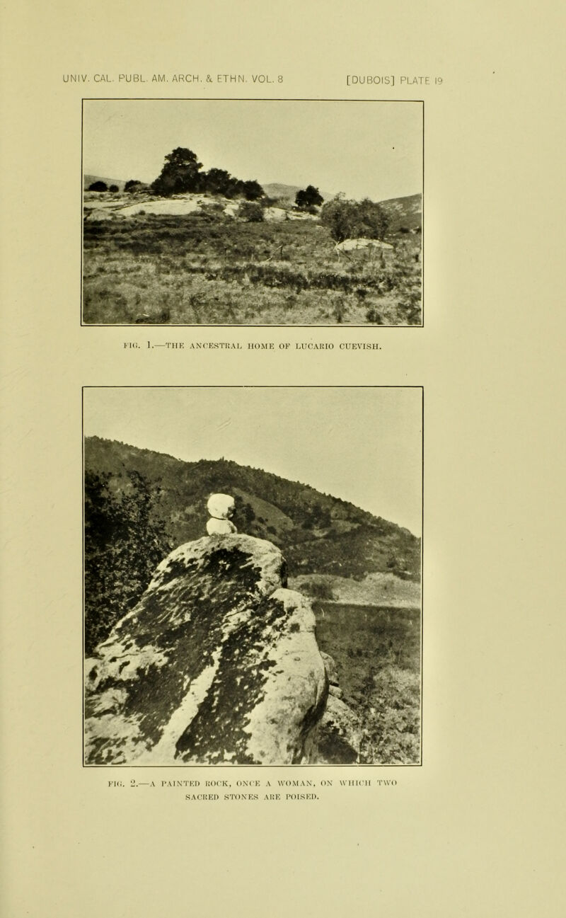 FKI. 1.—THE ANCESTIt.Uj HOME OF LUCARIO CUEVISH. FIO. ;2.—A PAIN’I'KI) ROCK, ONCE A WOMAN, ON WHICH 'I'WO SACliEI) .STONES AliE 1‘OISEI).