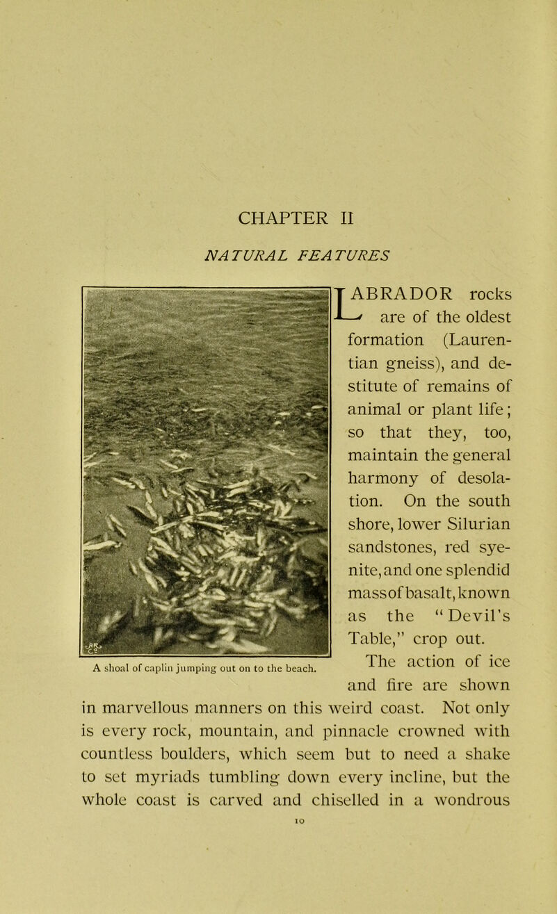 NATURAL FEATURES c ABRADOR rocks are of the oldest formation (Lauren- tian gneiss), and de- stitute of remains of animal or plant life; so that they, too, maintain the general harmony of desola- tion. On the south shore, lower Silurian sandstones, red sye- nite, and one splendid massof basalt, known as the “Devil's Table,’’ crop out. The action of ice and fire are shown in marvellous manners on this weird coast. Not only is every rock, mountain, and pinnacle crowned with countless boulders, which seem but to need a shake to set myriads tumbling down every incline, but the whole coast is carved and chiselled in a wondrous A shoal of caplin jumping out on to the beach.