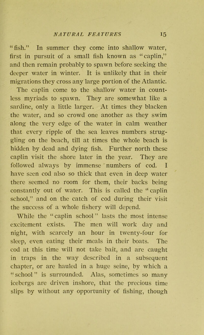 “ fish.” In summer they come into shallow water, first in pursuit of a small fish known as “caplin,” and then remain probably to spawn before seeking the deeper water in winter. It is unlikely that in their migrations they cross any large portion of the Atlantic. The caplin come to the shallow water in count- less myriads to spawn. They are somewhat like a sardine, only a little larger. At times they blacken the water, and so crowd one another as they swim along the very edge of the water in calm weather that every ripple of the sea leaves numbers strug- gling on the beach, till at times the whole beach is hidden by dead and dying fish. Further north these caplin visit the shore later in the year. They are followed always by immense numbers of cod. I have seen cod also so thick that even in deep water there seemed no room for them, their backs being constantly out of water. This is called the “ caplin school,” and on the catch of cod during their visit the success of a whole fishery will depend. While the “caplin school” lasts the most intense excitement exists. The men will work day and night, with scarcely an hour in twenty-four for sleep, even eating their meals in their boats. The cod at this time will not take bait, and are caught in traps in the way described in a subsequent chapter, or are hauled in a huge seine, by which a “ school ” is surrounded. Alas, sometimes so many icebergs are driven inshore, that the precious time slips by without any opportunity of fishing, though