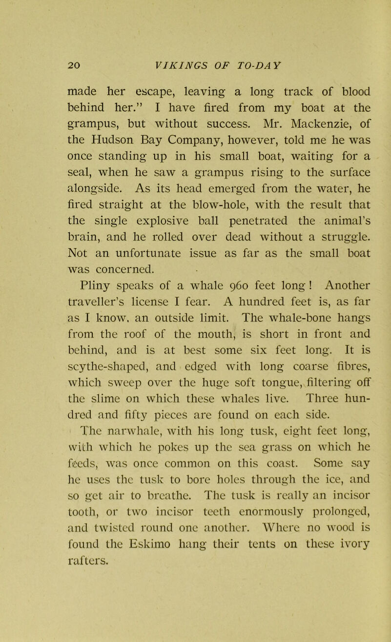 made her escape, leaving a long track of blood behind her.” I have fired from my boat at the grampus, but without success. Mr. Mackenzie, of the Hudson Bay Company, however, told me he was once standing up in his small boat, waiting for a seal, when he saw a grampus rising to the surface alongside. As its head emerged from the water, he fired straight at the blow-hole, with the result that the single explosive ball penetrated the animal’s brain, and he rolled over dead without a struggle. Not an unfortunate issue as far as the small boat was concerned. Pliny speaks of a whale 960 feet long ! Another traveller’s license I fear. A hundred feet is, as far as I know, an outside limit. The whale-bone hangs from the roof of the mouth, is short in front and behind, and is at best some six feet long. It is scythe-shaped, and edged with long coarse fibres, which sweep over the huge soft tongue, filtering off the slime on which these whales live. Three hun- dred and fifty pieces are found on each side. The narwhale, with his long tusk, eight feet long, with which he pokes up the sea grass on which he feeds, was once common on this coast. Some say he uses the tusk to bore holes through the ice, and so get air to breathe. The tusk is really an incisor tooth, or two incisor teeth enormously prolonged, and twisted round one another. Where no wood is found the Eskimo hang their tents on these ivory rafters.