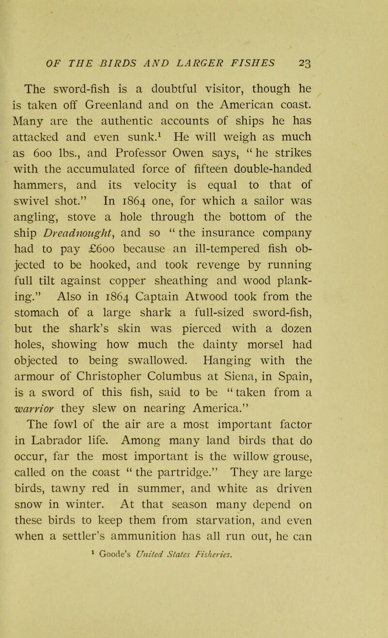 The sword-fish is a doubtful visitor, though he is taken off Greenland and on the American coast. Many are the authentic accounts of ships he has attacked and even sunk.1 He will weigh as much as 600 lbs., and Professor Owen says, “ he strikes with the accumulated force of fifteen double-handed hammers, and its velocity is equal to that of swivel shot.” In 1864 one, for which a sailor was angling, stove a hole through the bottom of the ship Dreadnought, and so “ the insurance company had to pay £600 because an ill-tempered fish ob- jected to be hooked, and took revenge by running full tilt against copper sheathing and wood plank- ing.” Also in 1864 Captain Atwood took from the stomach of a large shark a full-sized sword-fish, but the shark’s skin was pierced with a dozen holes, showing how much the dainty morsel had objected to being swallowed. Hanging with the armour of Christopher Columbus at Siena, in Spain, is a sword of this fish, said to be “ taken from a warrior they slew on nearing America.” The fowl of the air are a most important factor in Labrador life. Among many land birds that do occur, far the most important is the willow grouse, called on the coast “ the partridge.” They are large birds, tawny red in summer, and white as driven snow in winter. At that season many depend on these birds to keep them from starvation, and even when a settler’s ammunition has all run out, he can