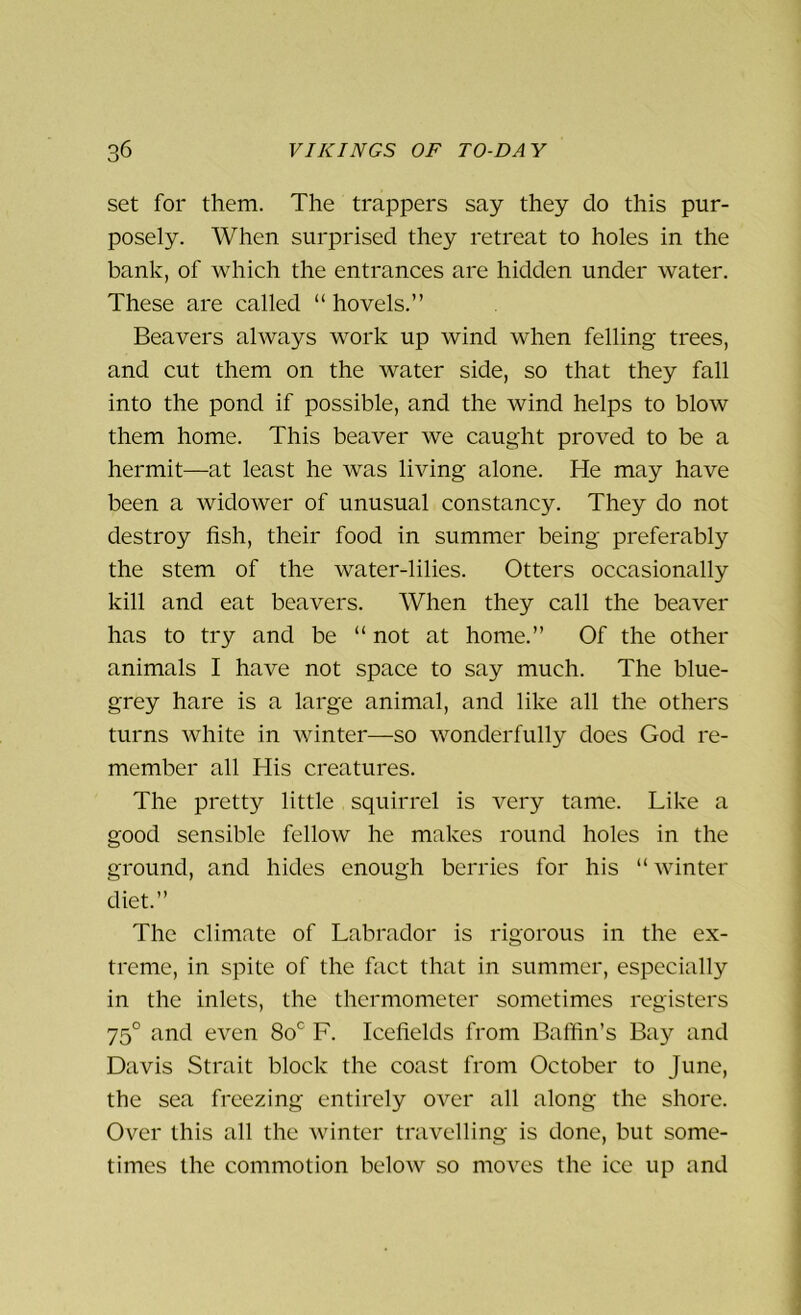 set for them. The trappers say they do this pur- posely. When surprised they retreat to holes in the bank, of which the entrances are hidden under water. These are called “ hovels.” Beavers always work up wind when felling trees, and cut them on the water side, so that they fall into the pond if possible, and the wind helps to blow them home. This beaver we caught proved to be a hermit—at least he was living alone. He may have been a widower of unusual constancy. They do not destroy fish, their food in summer being preferably the stem of the water-lilies. Otters occasionally kill and eat beavers. When they call the beaver has to try and be “ not at home.” Of the other animals I have not space to say much. The blue- grey hare is a large animal, and like all the others turns white in winter—so wonderfully does God re- member all His creatures. The pretty little squirrel is very tame. Like a good sensible fellow he makes round holes in the ground, and hides enough berries for his “ winter diet.” The climate of Labrador is rigorous in the ex- treme, in spite of the fact that in summer, especially in the inlets, the thermometer sometimes registers 750 and even 8o° F. Icefields from Baffin’s Bay and Davis Strait block the coast from October to June, the sea freezing entirely over all along the shore. Over this all the winter travelling is done, but some- times the commotion below so moves the ice up and