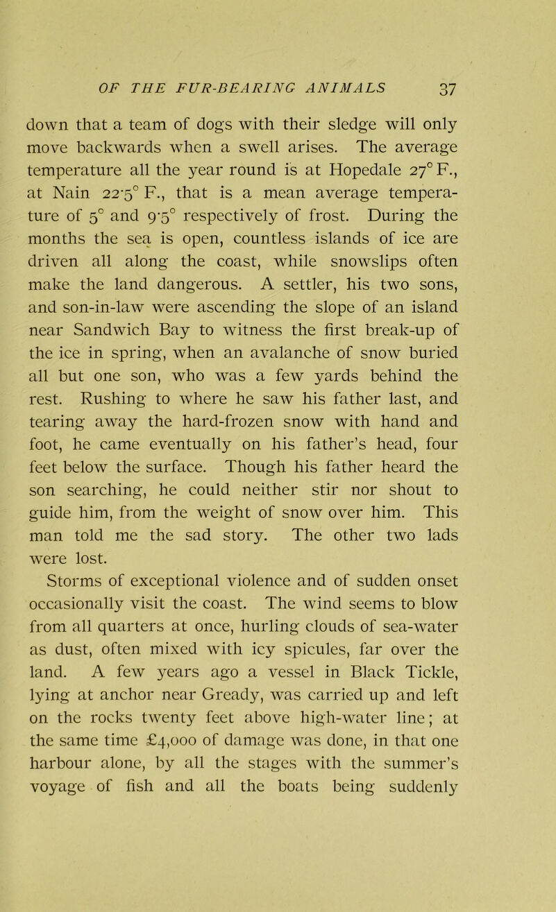 down that a team of dogs with their sledge will only move backwards when a swell arises. The average temperature all the year round is at Hopedale 27°F., at Nain 22-5° F., that is a mean average tempera- ture of 50 and 9-5° respectively of frost. During the months the sea is open, countless islands of ice are driven all along the coast, while snowslips often make the land dangerous. A settler, his two sons, and son-in-law were ascending the slope of an island near Sandwich Bay to witness the first break-up of the ice in spring, when an avalanche of snow buried all but one son, who was a few yards behind the rest. Rushing to where he saw his father last, and tearing away the hard-frozen snow with hand and foot, he came eventually on his father’s head, four feet below the surface. Though his father heard the son searching, he could neither stir nor shout to guide him, from the weight of snow over him. This man told me the sad story. The other two lads were lost. Storms of exceptional violence and of sudden onset occasionally visit the coast. The wind seems to blow from all quarters at once, hurling clouds of sea-water as dust, often mixed with icy spicules, far over the land. A few years ago a vessel in Black Tickle, lying at anchor near Gready, was carried up and left on the rocks twenty feet above high-water line; at the same time £4,000 of damage was done, in that one harbour alone, by all the stages with the summer’s voyage of fish and all the boats being suddenly