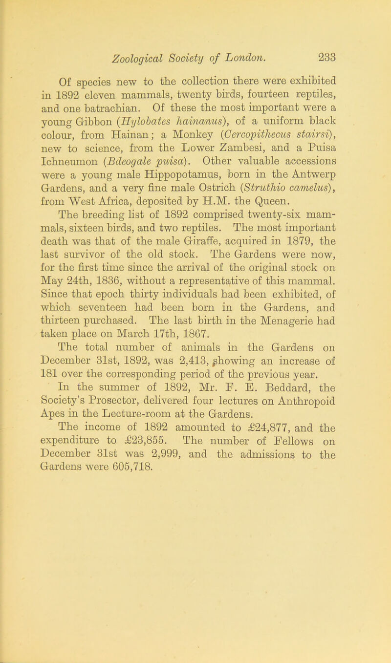 Of species new to the collection there were exhibited in 1892 eleven mammals, twenty birds, fourteen reptiles, and one batrachian. Of these the most important were a young Gibbon (Hylobates hainanus), of a uniform black colour, from Hainan; a Monkey (Cercopithecus stairsi), new to science, from the Lower Zambesi, and a Puisa Ichneumon (Bdeogale puisa). Other valuable accessions were a young male Hippopotamus, born in the Antwerp Gardens, and a very fine male Ostrich (Struthio camelus), from West Africa, deposited by H.M. the Queen. The breeding list of 1892 comprised twenty-six mam- mals, sixteen birds, and two reptiles. The most important death was that of the male Giraffe, acquired in 1879, the last survivor of the old stock. The Gardens were now, for the first time since the arrival of the original stock on May 24th, 1836, without a representative of this mammal. Since that epoch thirty individuals had been exhibited, of which seventeen had been born in the Gardens, and thirteen purchased. The last birth in the Menagerie had taken place on March 17th, 1867. The total number of animals in the Gardens on December 31st, 1892, was 2,413, ^bowing an increase of 181 over the corresponding period of the previous year. In the summer of 1892, Mr. F. E. Beddard, the Society’s Prosector, delivered four lectures on Anthropoid Apes in the Lecture-room at the Gardens. The income of 1892 amounted to £24,877, and the expenditure to £23,855. The number of Fellows on December 31st was 2,999, and the admissions to the