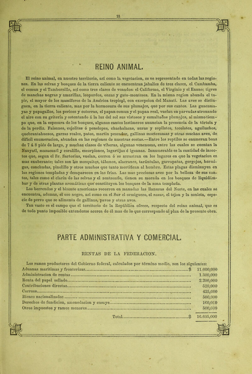 -4U REINO ANIMAL, El reino animal, en nuestro territorio, así corno la vegetación, se ve representado en todas las regio- nes, En las selvas y bosques de la tierra caliente se encuentran jabalíes de tres clases, el Cambamba, el común y el Tamborsillo, así como tres clases de venados: el Californio, el Virginio y el Enano; tigres de manchas negras y amarillas, leopardos, onzas y gato-monteses. En la misma región abunda el ta- pir, el mayor de los mamíferos de la América tropical, con excepción del Manatí. Las aves se distin- guen, en la tierra caliente, mas por la hermosura de sus plumajes, que por sus cantos. Las guacama- yas y papagallos, los pericos y cotorras, el papan común y el papan real, vuelan en parvadas atronando el aire con su gritería y ostentando á la luz del sol sus vistosos y esmaltados plumajes, al mismo tiem- po que, en la espesura délos bosques, algunos cantos lastimeros anuncian la presencia de la tórtola y de la perdiz. Faisanes, cojolites ó penelopes, chachalacas, auras y zopilotes, tecolotes, aguiluchos, quebrantahuesos, garzas reales, patos, martin pescador, gallinas moctczumas y otras muchas aves, do difícil enumeración, abundan en las regiones de nuestras costas.—Entre los reptiles se enumeran boas de 7 á 8 pies de largo, y muchas clases de víboras, algunas venenosas, entre las cuales se cuentan la Nauyatl, mazacuatl y coralillo, escorpiones, lagartijas é iguanas. Innumerable es la cantidad de insec- tos que, según el Sr. Sartorius, vuelan, corren ó se arrastran en los lugares en que la vegetación es. mas exuberante; tales son los mosquitos, tábanos, alacranes, tarántulas, garrapatas, gorgojos, hormi- gas, conchudas, pinolillo y otros muchos que tanto mortifican al hombre. Estas plagas disminuyen en las regiones templadas y desaparecen en las fria3. Las mas preciosas aves por la belleza de sus can- tos, tales como el clarín de la3 selvas y el zentzontle, tienen su morada en los bosques de liquidám- bar y de otras plantas aromáticas que constituyen los bosques de la zona templada. Los berrendos y el bisonte americano recorren en manadas las llanuras del Norte, en las cuales se encuentra, ademas, el oso negro, así como en el Sur el ormiguero, el nasur, el tejón y la sonista, espe- cie de perro que se alimenta de gallinas, pavos y otras aves. Tan vasto es el campo que el territorio de la República ofrece, respecto del reino animal, que es de todo punto imposible extenderse acerca de él mas de lo que corresponde al plan de la presente obra. PARTE ADMINISTRATIVA Y COMERCIAL RENTAS DE LA FEDERACION. / Los ramos productores del Gobierno federal, calculados por termino medio, Aduanas marítimas y fronterizas Administración de rentas '. Renta del papel sellado Contribuciones directas Correos „ Bienes nacionalizados Derechos de fundición, amonedación y ensaye Otros impuestos y ramos menores son los siguientes: $ 11.000,000 1.300,000 2.200,000 520,000 425,000 500,000 160,000 500,000 Total $ 16.605,000