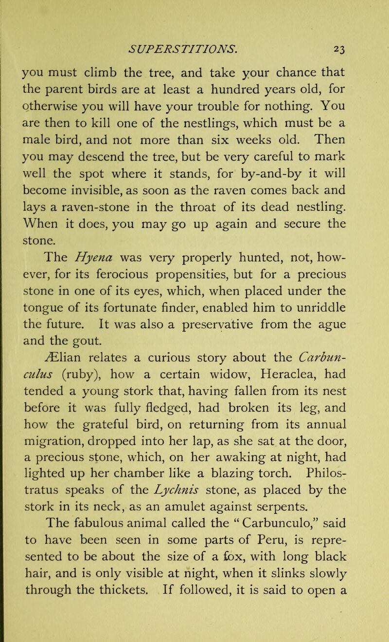 you must climb the tree, and take your chance that the parent birds are at least a hundred years old, for otherwise you will have your trouble for nothing. You are then to kill one of the nestlings, which must be a male bird, and not more than six weeks old. Then you may descend the tree, but be very careful to mark well the spot where it stands, for by-and-by it will become invisible, as soon as the raven comes back and lays a raven-stone in the throat of its dead nestling. When it does, you may go up again and secure the stone. The Hyena was very properly hunted, not, how- ever, for its ferocious propensities, but for a precious stone in one of its eyes, which, when placed under the tongue of its fortunate finder, enabled him to unriddle the future. It was also a preservative from the ague and the gout. ^Elian relates a curious story about the Carbun- culus (ruby), how a certain widow, Heraclea, had tended a young stork that, having fallen from its nest before it was fully fledged, had broken its leg, and how the grateful bird, on returning from its annual migration, dropped into her lap, as she sat at the door, a precious stone, which, on her awaking at night, had lighted up her chamber like a blazing torch. Philos- tratus speaks of the Lychnis stone, as placed by the stork in its neck, as an amulet against serpents. The fabulous animal called the “ Carbunculo,” said to have been seen in some parts of Peru, is repre- sented to be about the size of a fox, with long black hair, and is only visible at night, when it slinks slowly through the thickets. If followed, it is said to open a