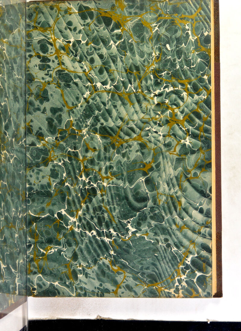 BH|3* , ^ • -■>•.. ••'5 ffljH H^l [y |iiM