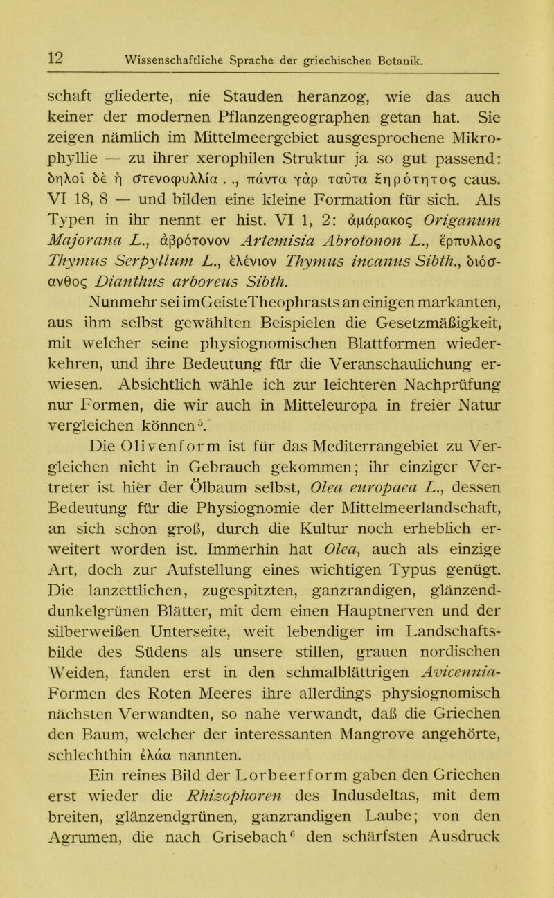 Schaft gliederte, nie Stauden heranzog, wie das auch keiner der modernen Pflanzengeographen getan hat. Sie zeigen nämlich im Mittelmeergebiet ausgesprochene Mikro- phyllie — zu ihrer xerophilen Struktur ja so gut passend: ör|\oi öe fi OTevoqpuXXia . ., Tidvia pap rauia Hr|pöxr|Toq caus. VI 18, 8 — und bilden eine kleine Formation für sich. Als Typen in ihr nennt er hist. VI 1, 2: ajuapaKoc; Origanum Majorana L., aßpÖTovov Artemisia Abrotonon L., epmjXXcx; Thymus Serpyllum L., eXeviov Thymus incanus Sibth., öiöcr- avGoc; Dianthus arboreus Sibth. Nunmehr sei imGeisteTheophrasts an einigen markanten, aus ihm selbst gewählten Beispielen die Gesetzmäßigkeit, mit welcher seine physiognomischen Blattformen wieder- kehren, und ihre Bedeutung für die Veranschaulichung er- wiesen. Absichtlich wähle ich zur leichteren Nachprüfung nur Formen, die wir auch in Mitteleuropa in freier Natur vergleichen können5. Die Olivenform ist für das Mediterrangebiet zu Ver- gleichen nicht in Gebrauch gekommen; ihr einziger Ver- treter ist hier der Ölbaum selbst, Olea europaea L., dessen Bedeutung für die Physiognomie der Mittelmeerlandschaft, an sich schon groß, durch die Kultur noch erheblich er- weitert worden ist. Immerhin hat Olea, auch als einzige Art, doch zur Aufstellung eines wichtigen Typus genügt. Die lanzettlichen, zugespitzten, ganzrandigen, glänzend- dunkelgrünen Blätter, mit dem einen Hauptnerven und der silberweißen Unterseite, weit lebendiger im Landschafts- bilde des Südens als unsere stillen, grauen nordischen Weiden, fanden erst in den schmalblättrigen Avicennia- Formen des Roten Meeres ihre allerdings physiognomisch nächsten Verwandten, so nahe verwandt, daß die Griechen den Baum, welcher der interessanten Mangrove angehörte, schlechthin eXaa nannten. Ein reines Bild der Lorbeerform gaben den Griechen erst wieder die Rhisophoren des Indusdeltas, mit dem breiten, glänzendgrünen, ganzrandigen Laube; von den Agrumen, die nach Grisebach0 den schärfsten Ausdruck